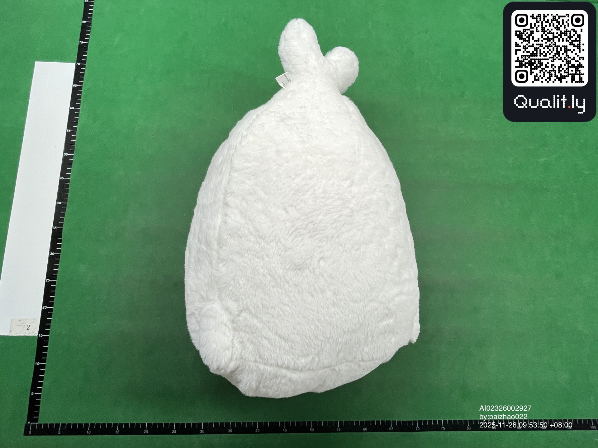 Foto QC 2 de 3