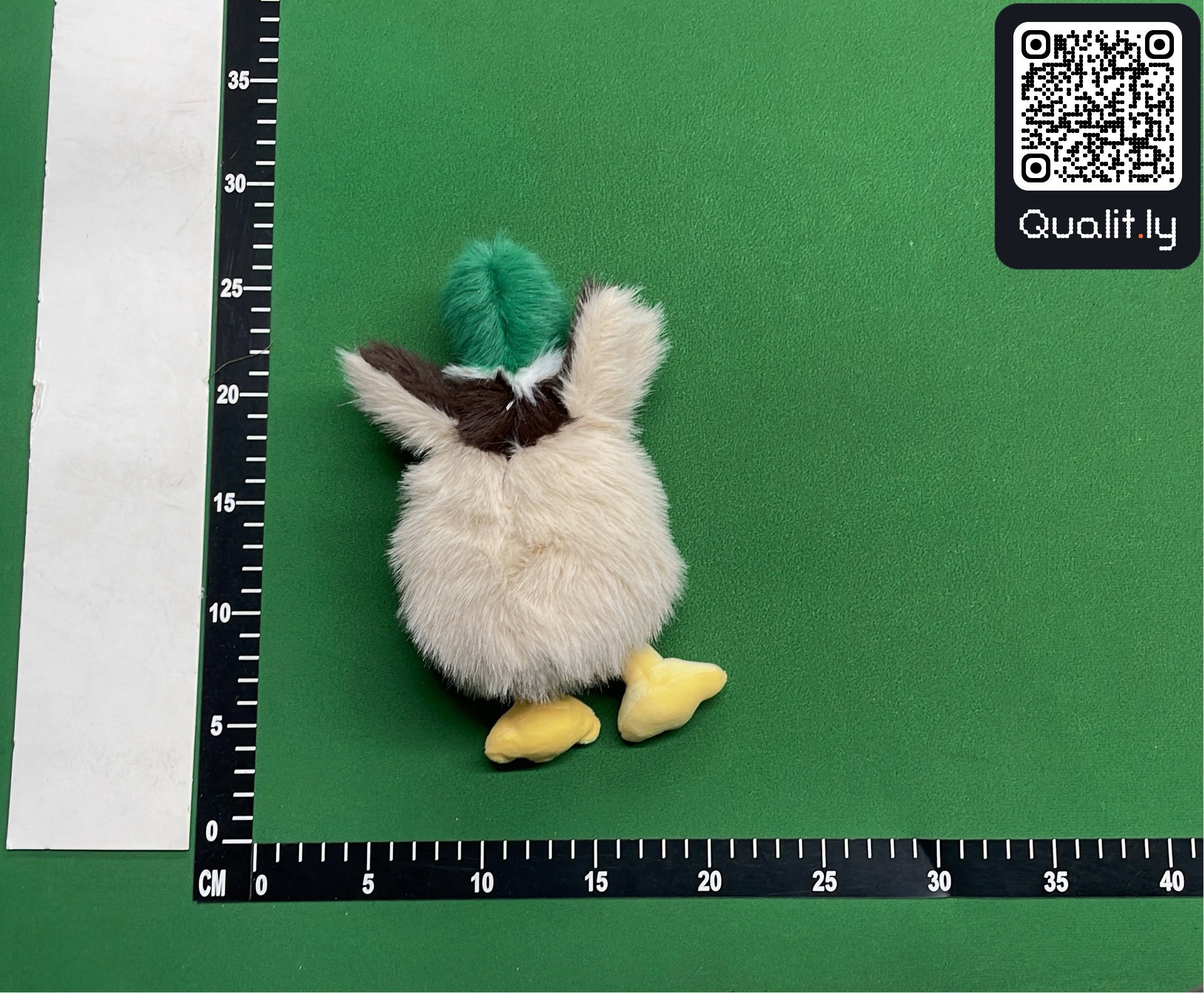 QC 照片 2 / 3