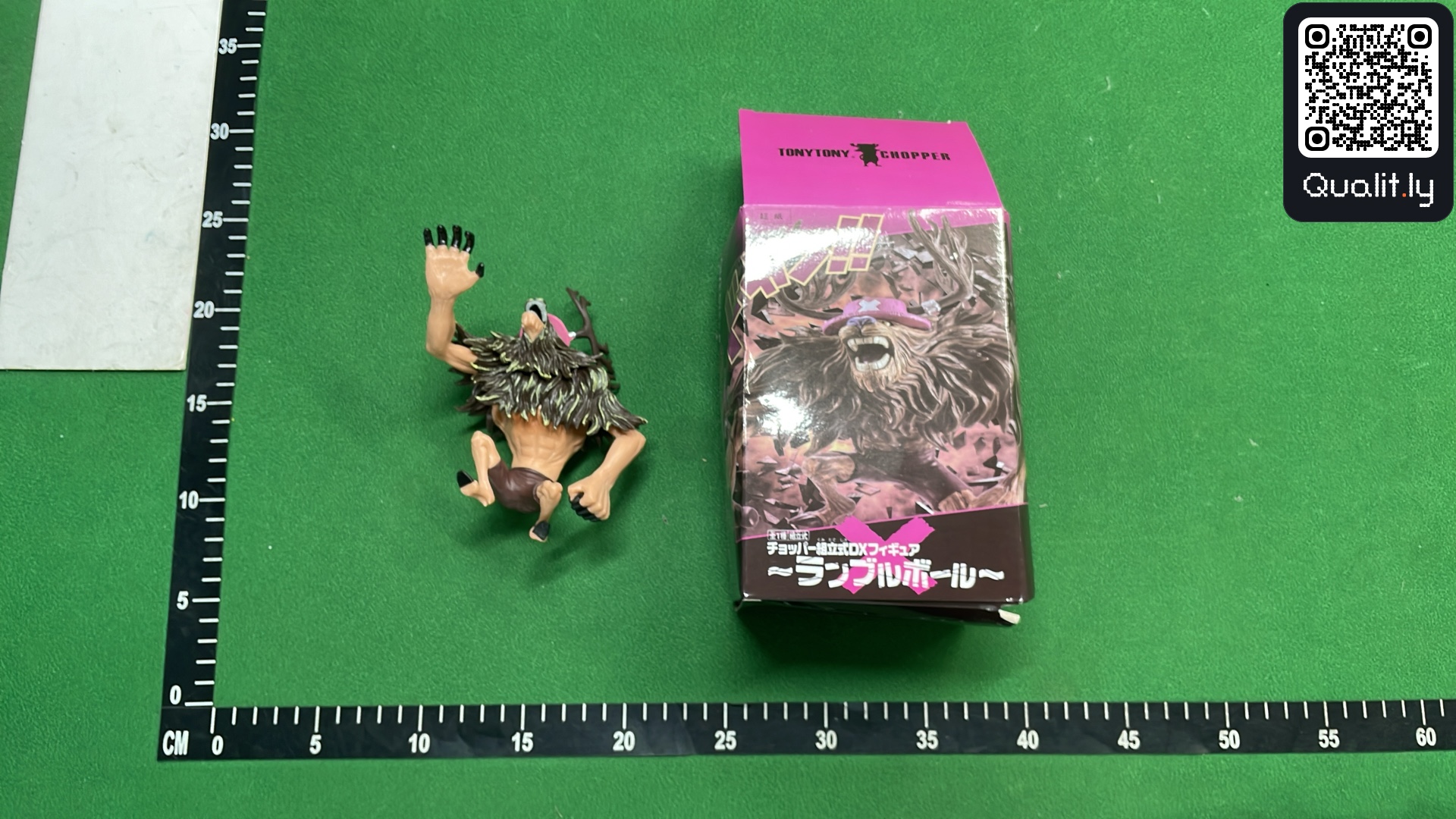 QC 照片 3 / 3