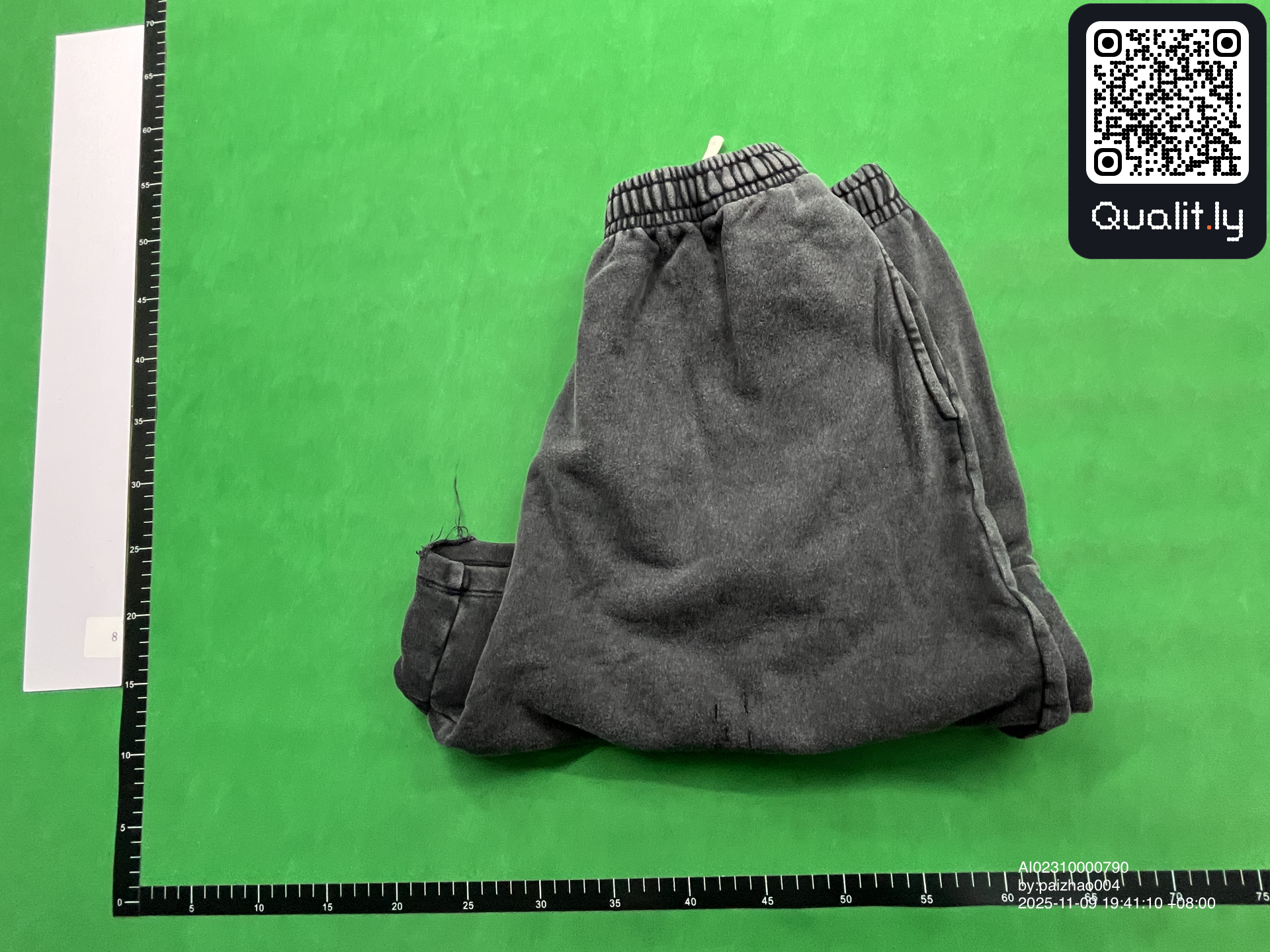 Shorts QC photo 1 of 10