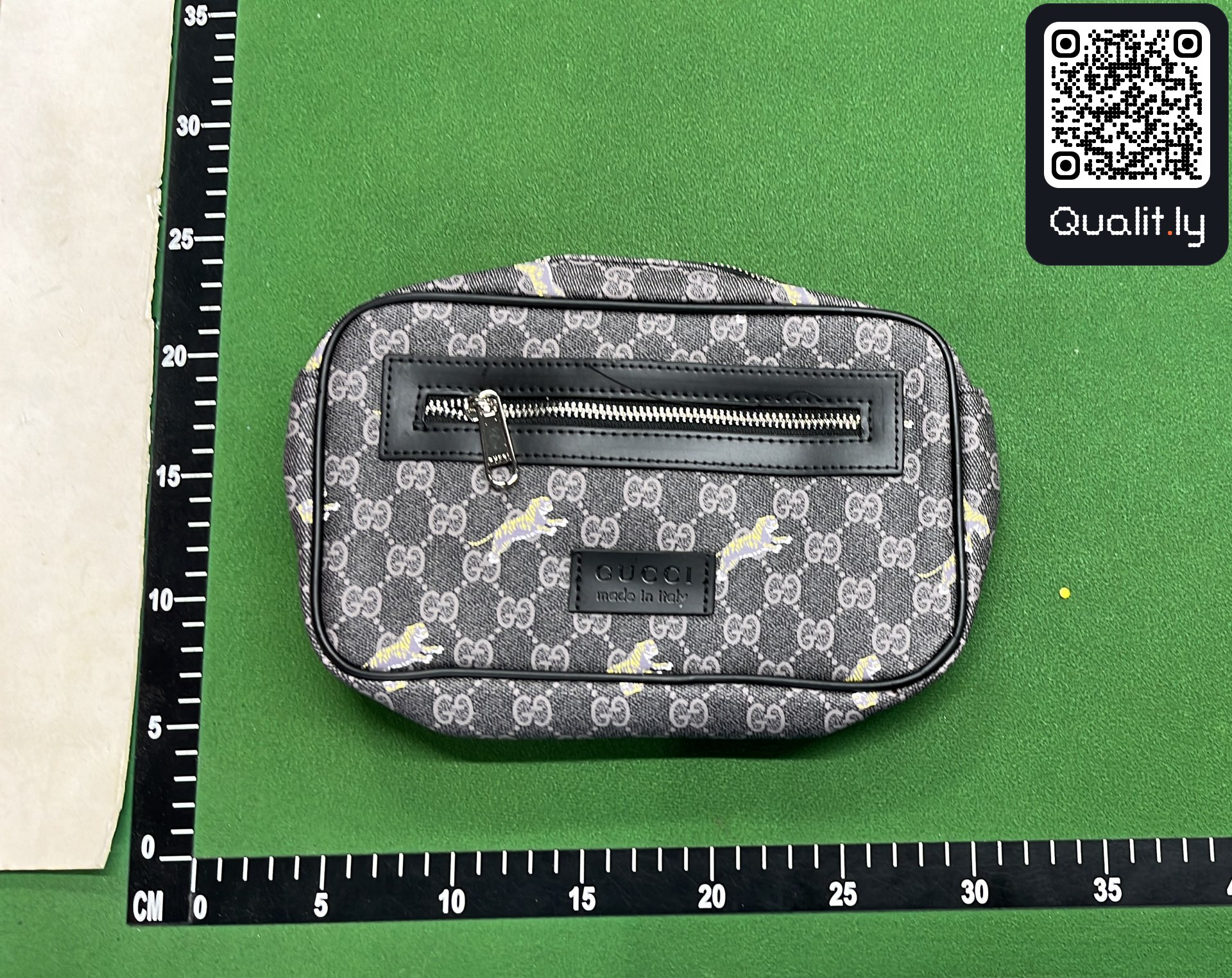 Bag QC photo 1 of 23