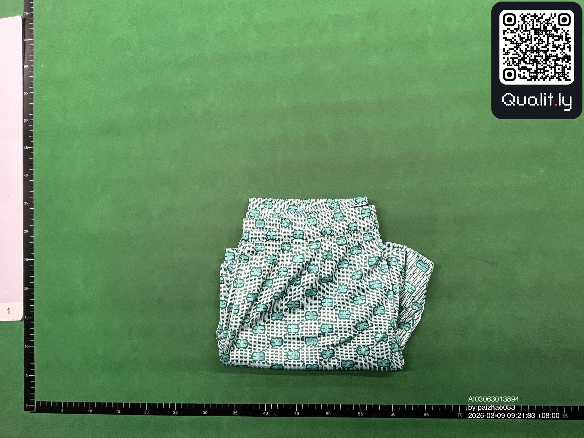 Shorts QC photo 1 of 10