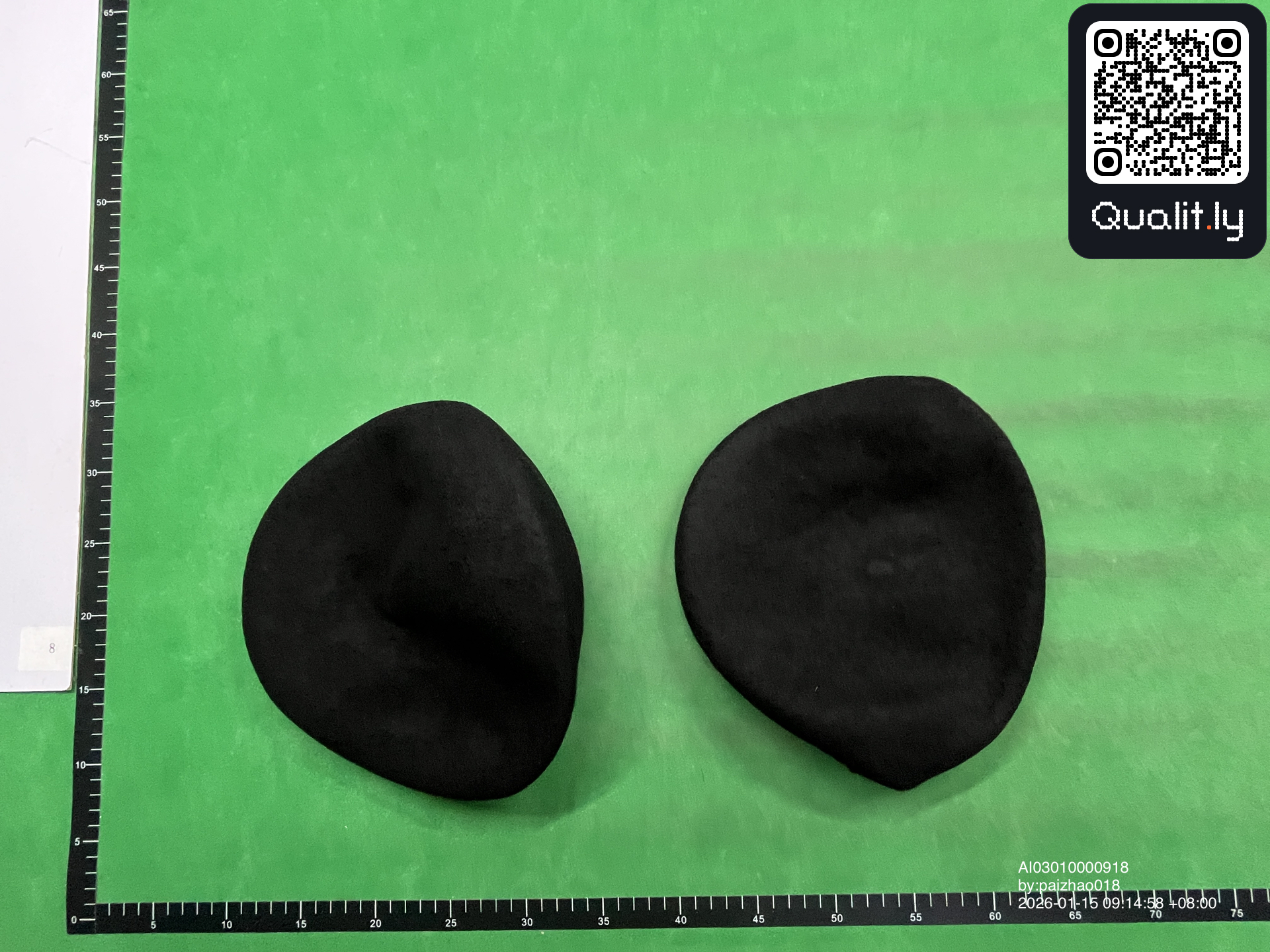 Pet — QC-foto 1 van 9