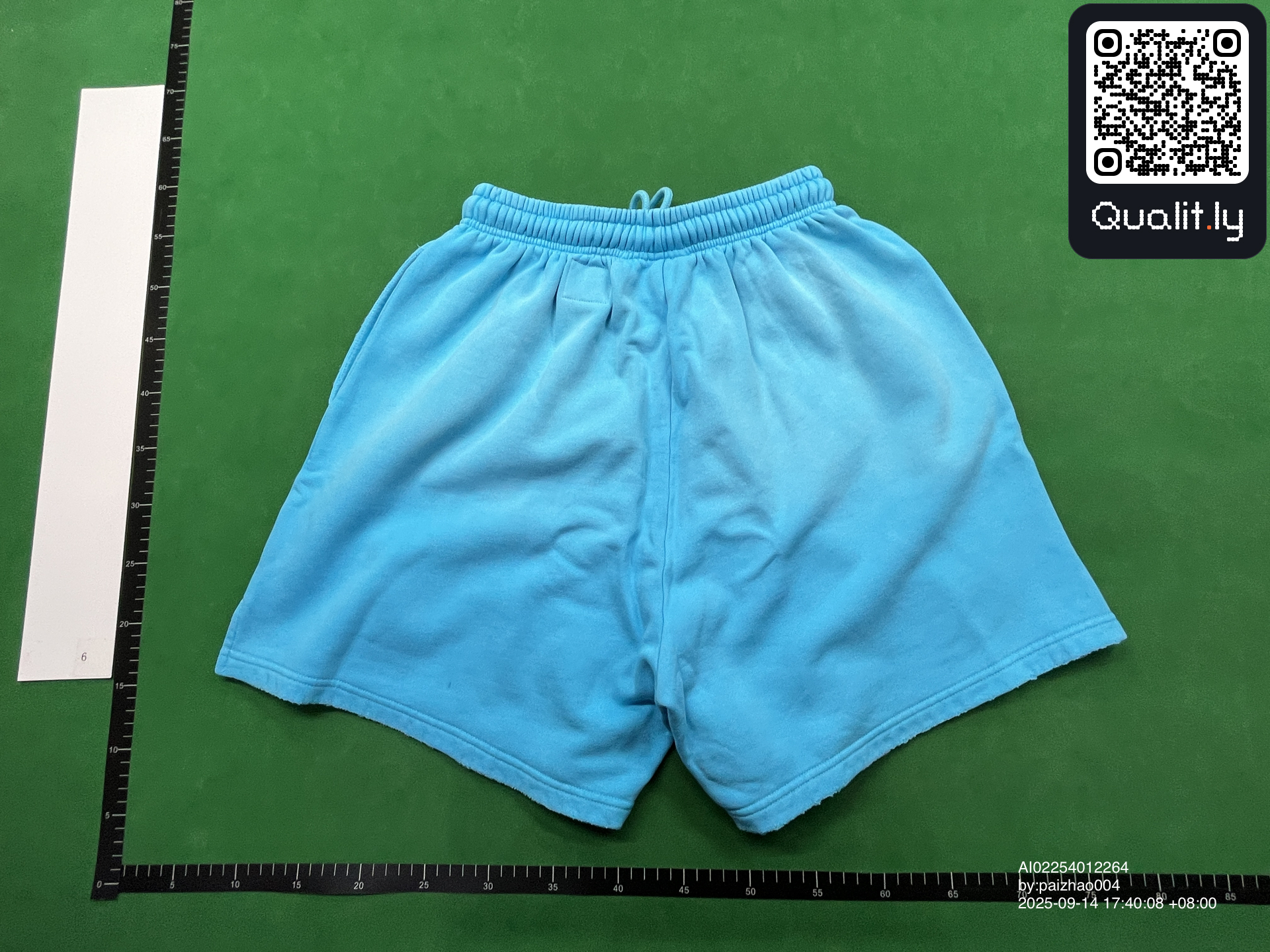 Shorts QC photo 2 of 28