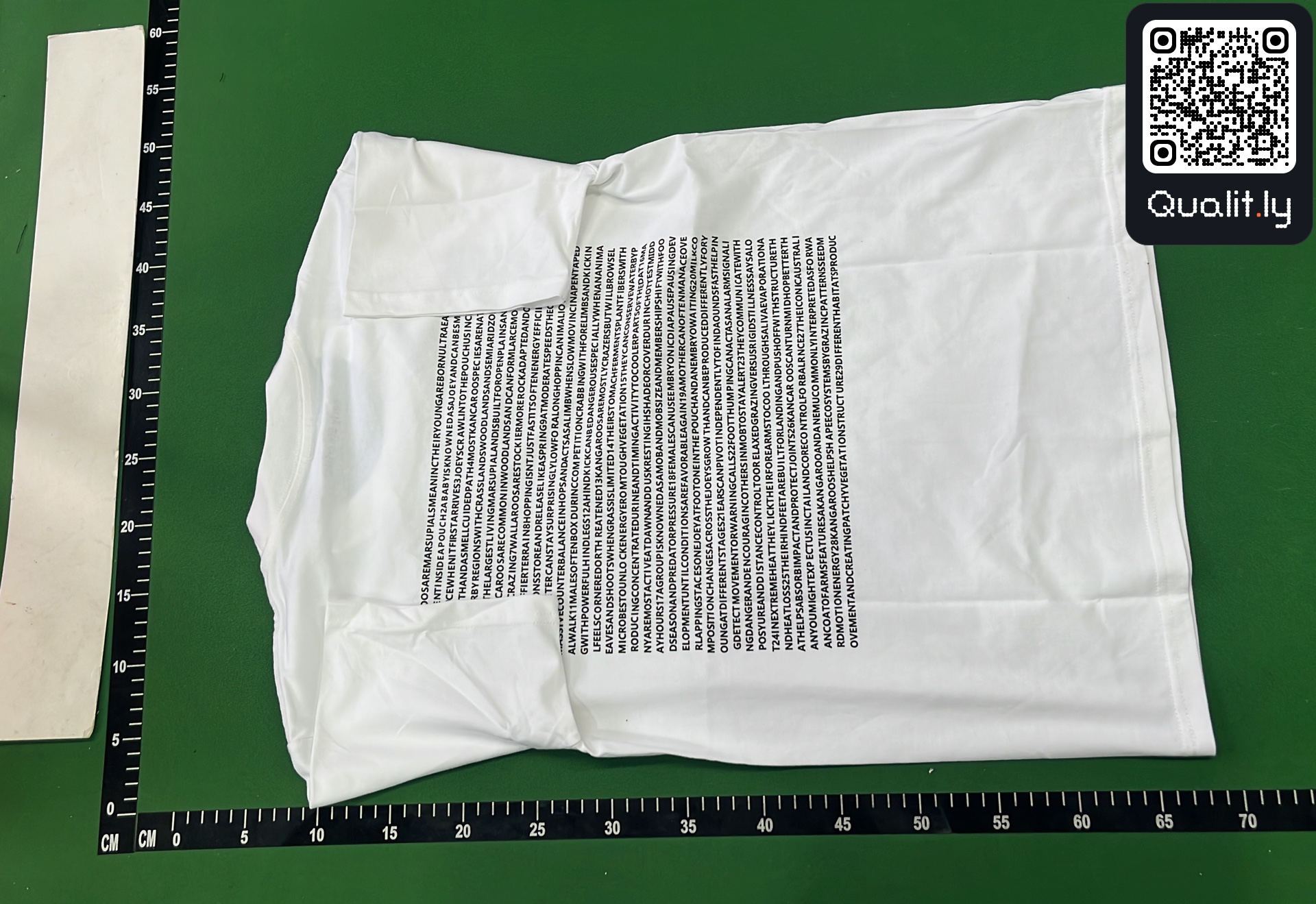 Camiseta — foto QC 3 de 12