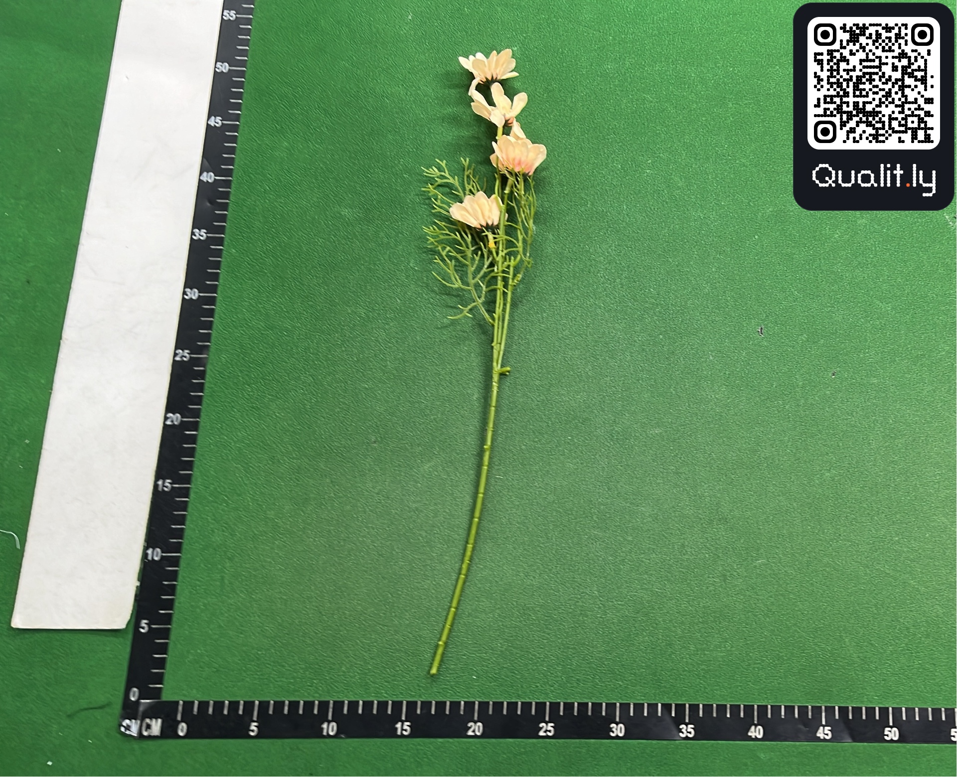 QC-foto 3 van 3