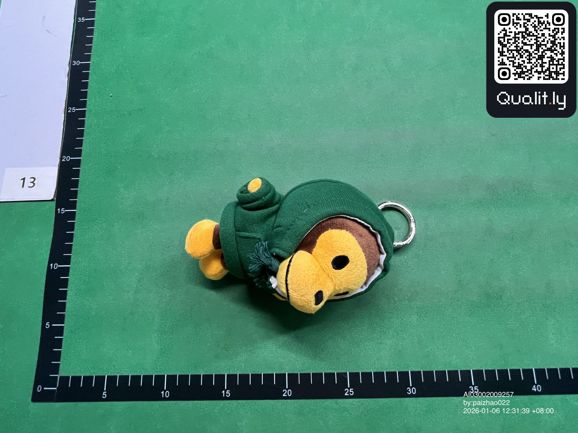 Bag QC photo 3 of 15
