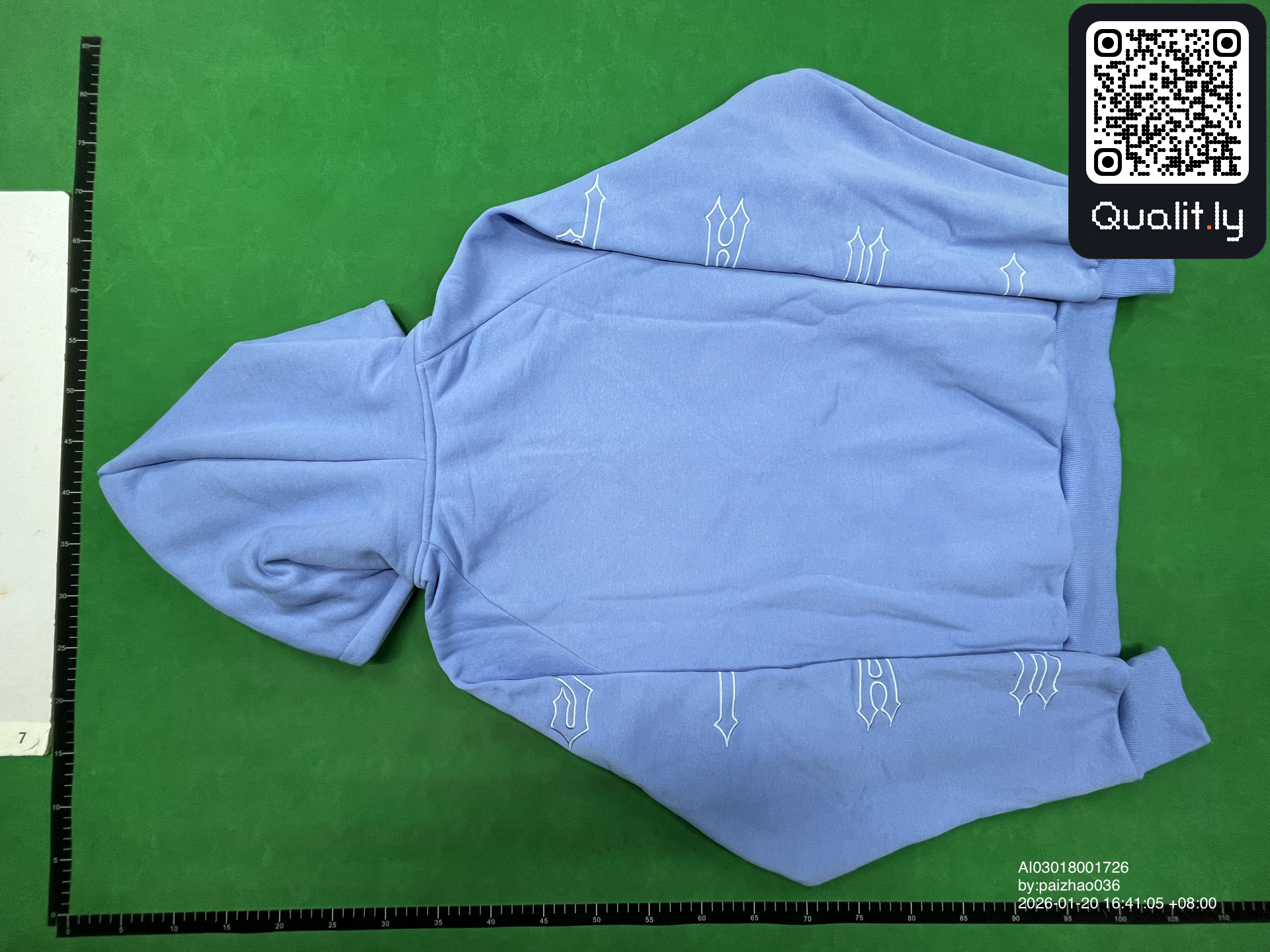 Hoodie QC photo 3 of 10