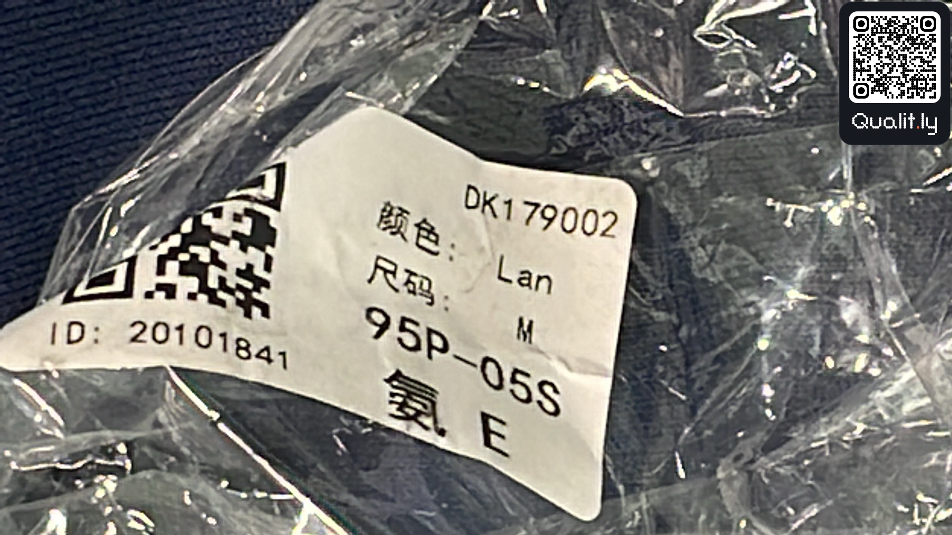 Shorts — QC-Foto 1 von 16