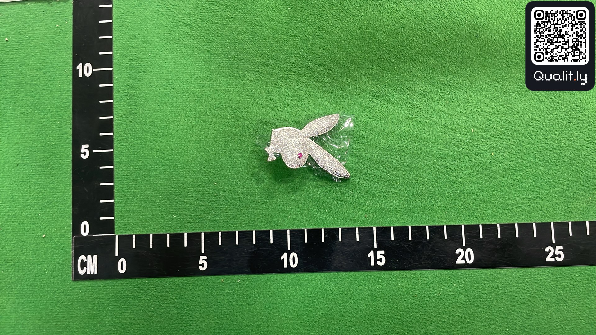首饰 QC 照片 1 / 12