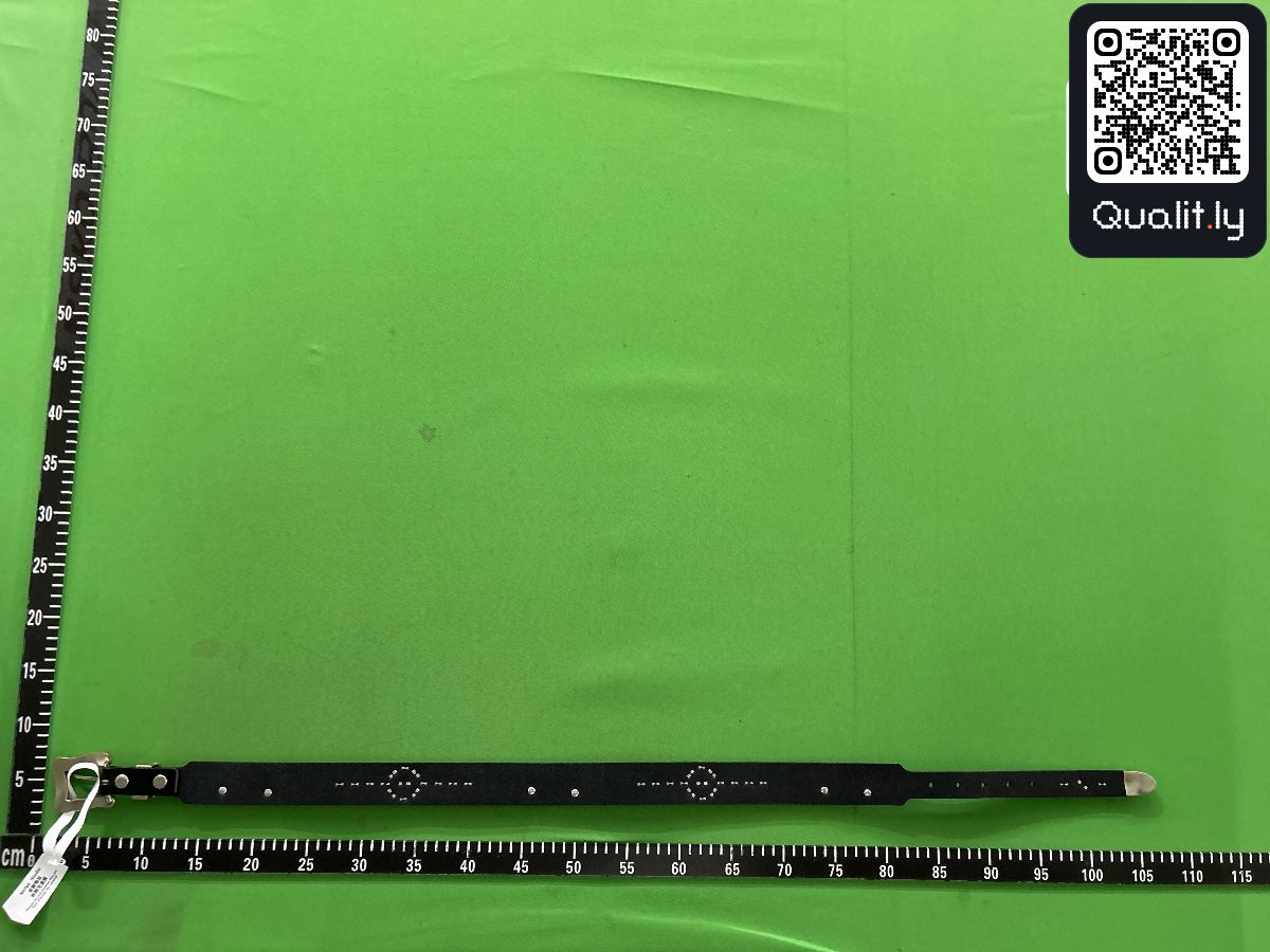 Belt QC photo 3 of 20