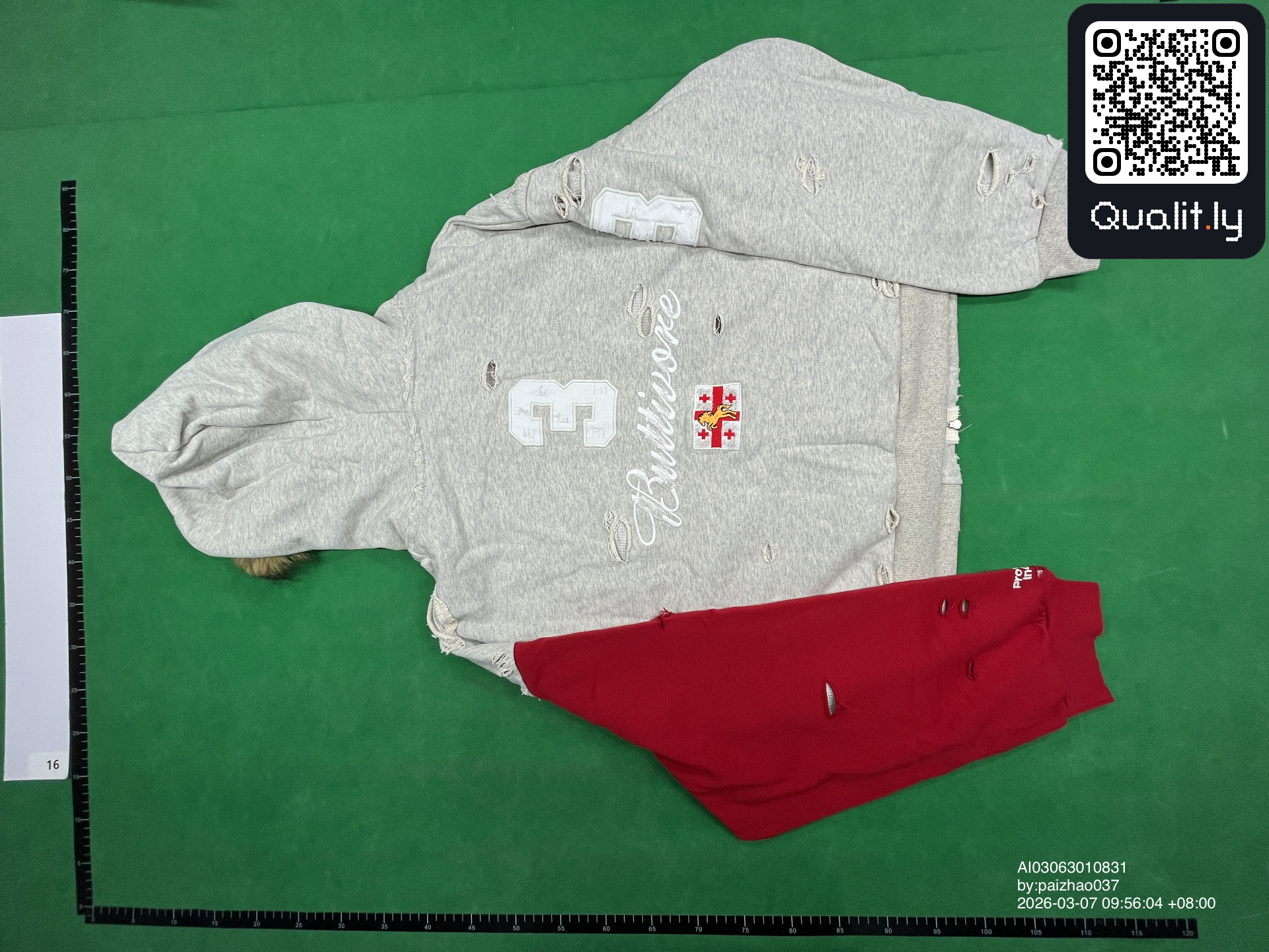 Hoodie QC photo 2 of 16