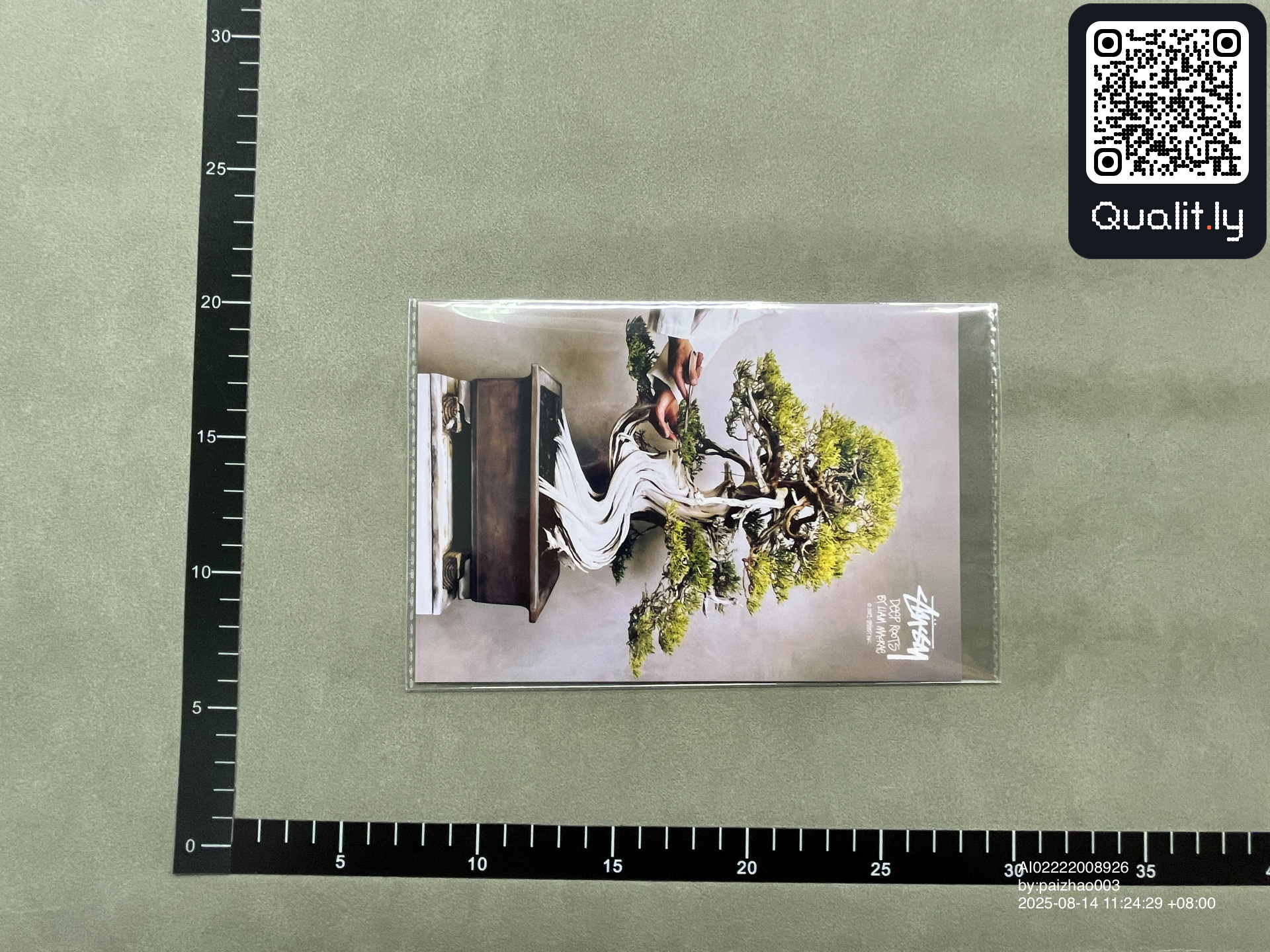 QC 照片 3 / 18