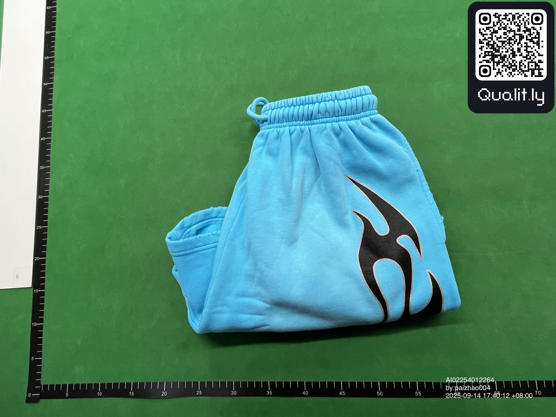 Shorts QC photo 1 of 28