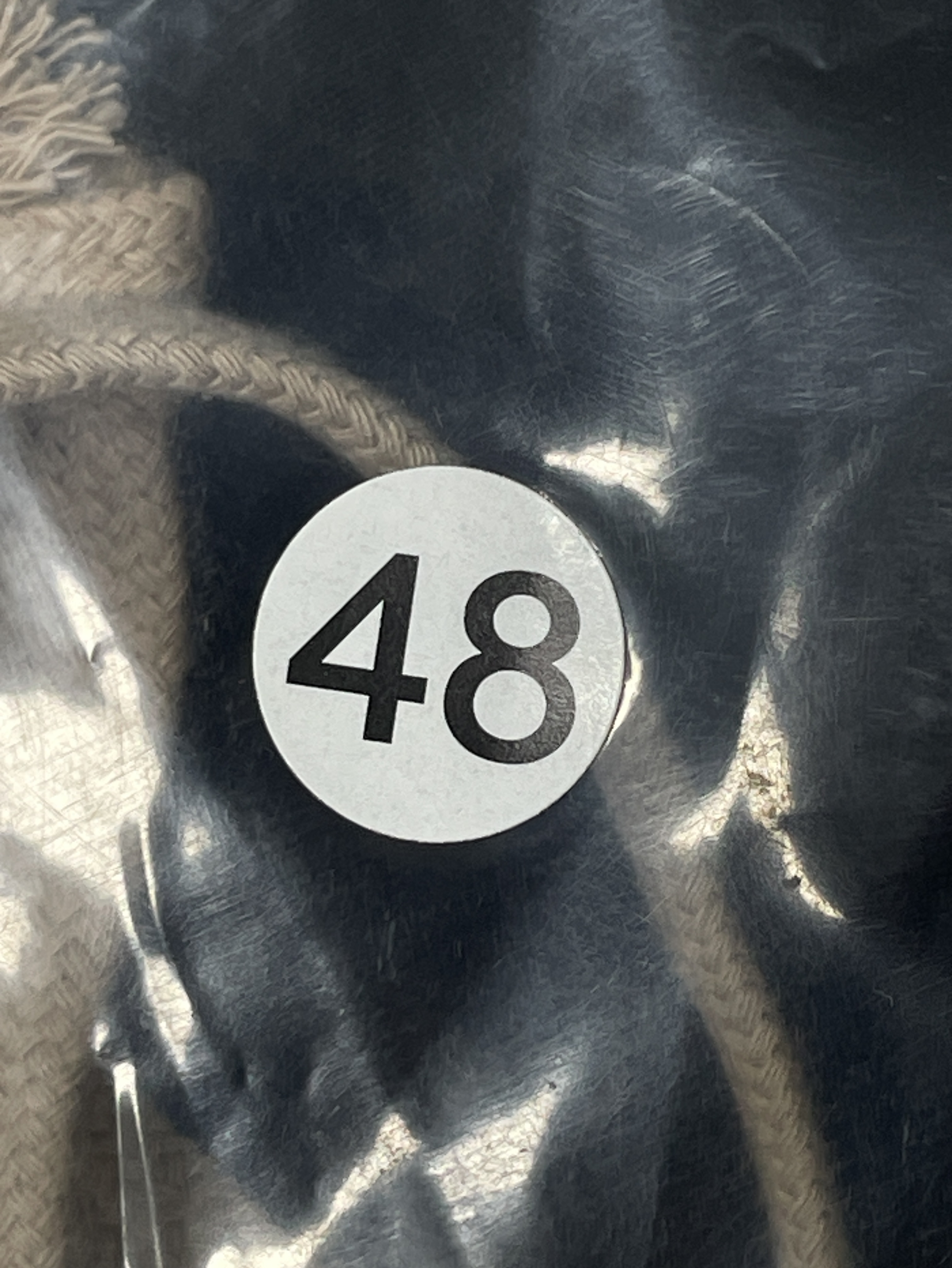 Pants QC photo 1 of 66