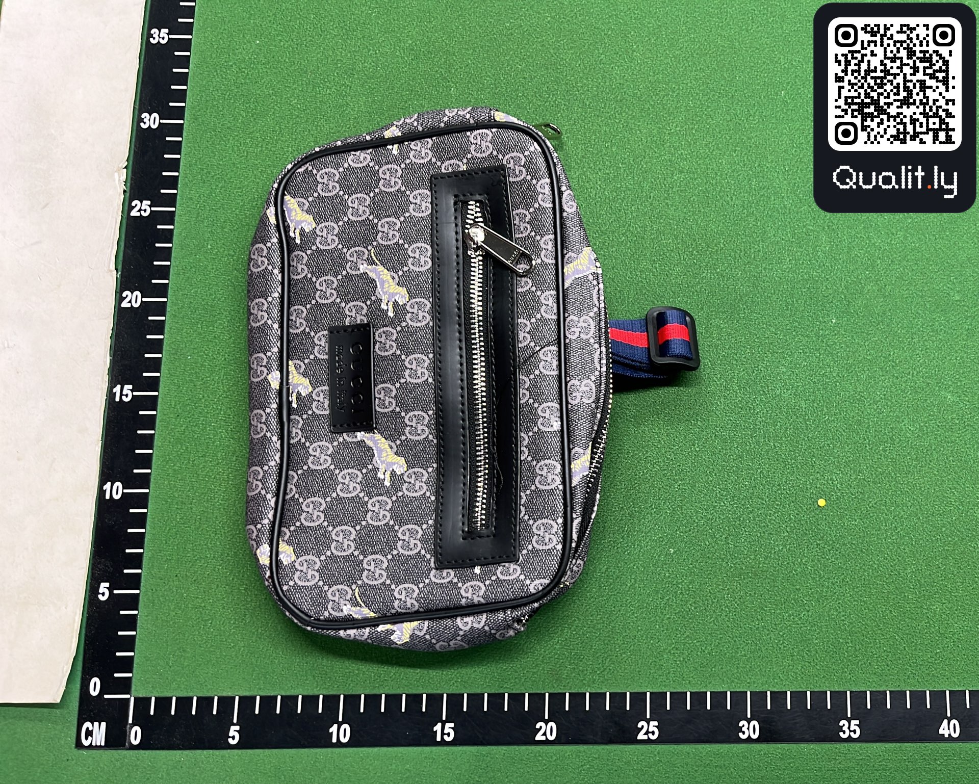 Bag QC photo 3 of 23