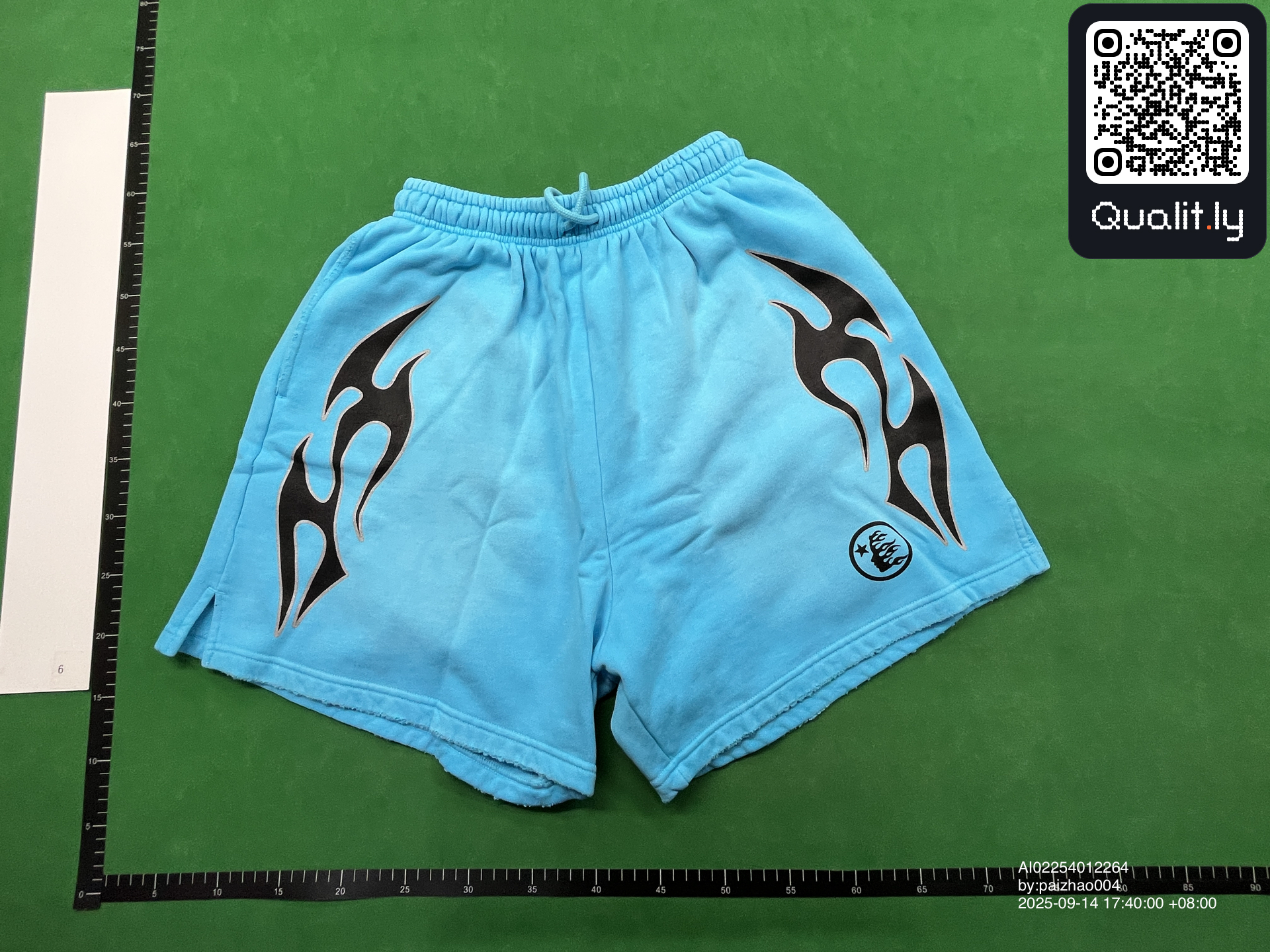 Shorts QC photo 3 of 28