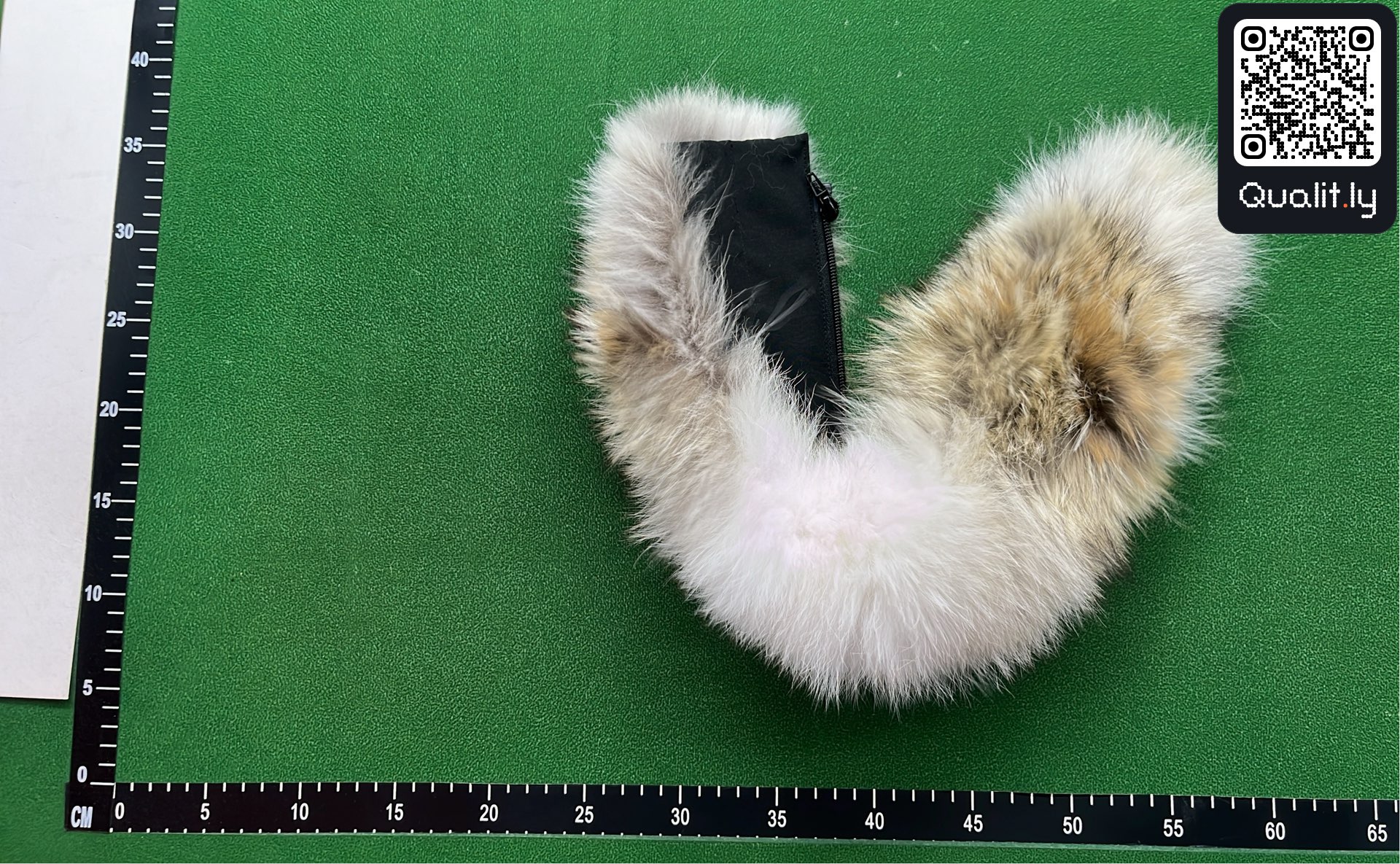 QC-Foto 1 von 3
