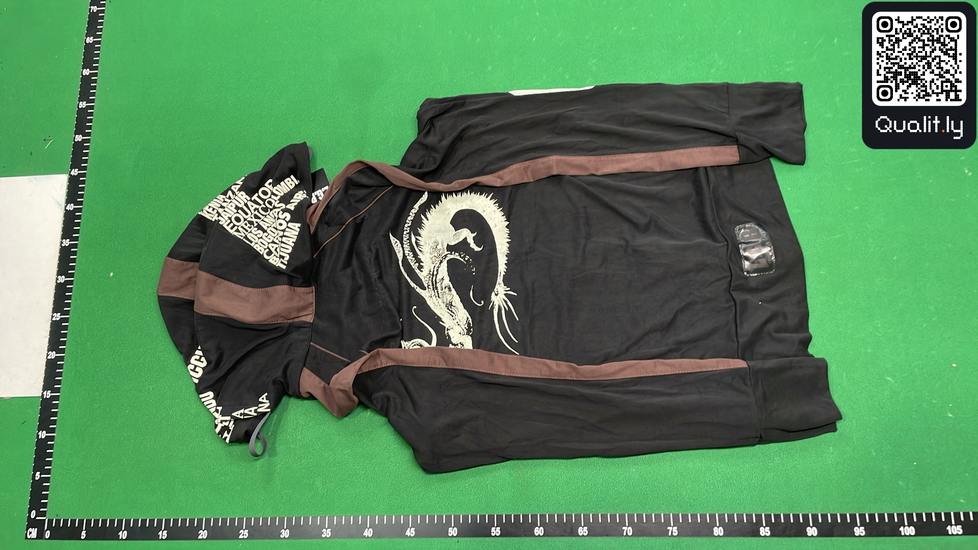Hoodie — QC-foto 3 av 12