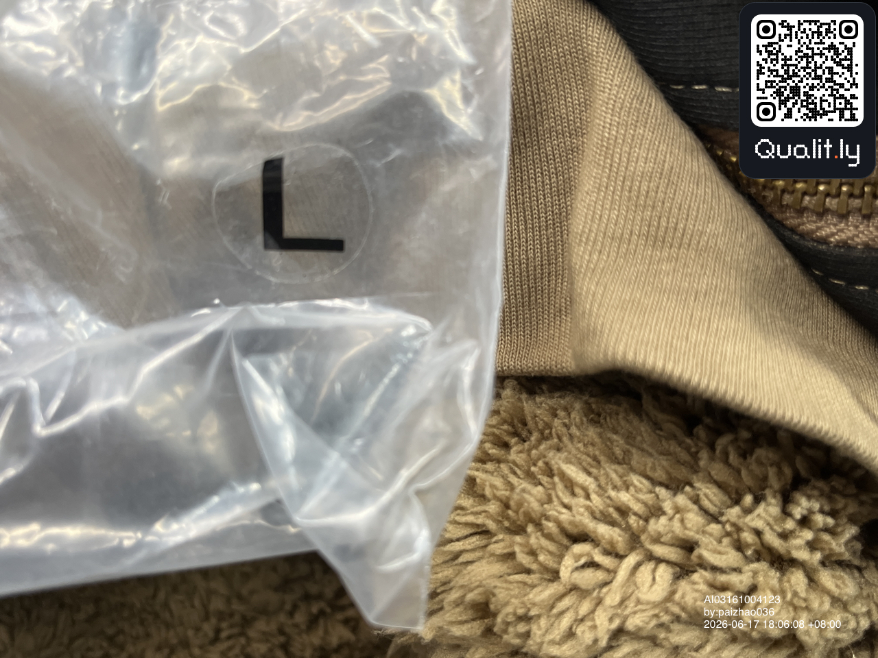 Felpa con cappuccio — foto QC 1 di 26