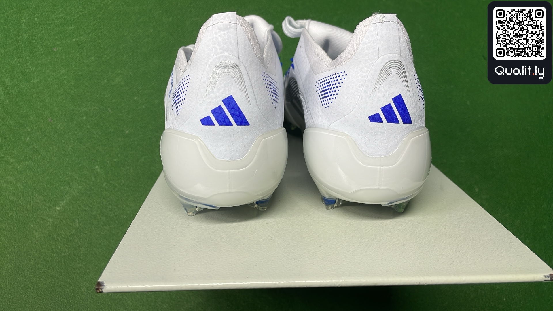 QC 照片 3 / 64