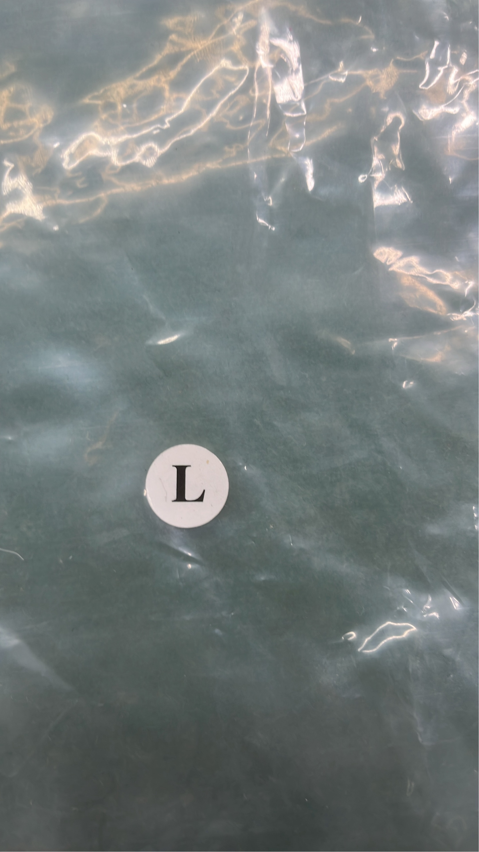 Shorts QC photo 1 of 4