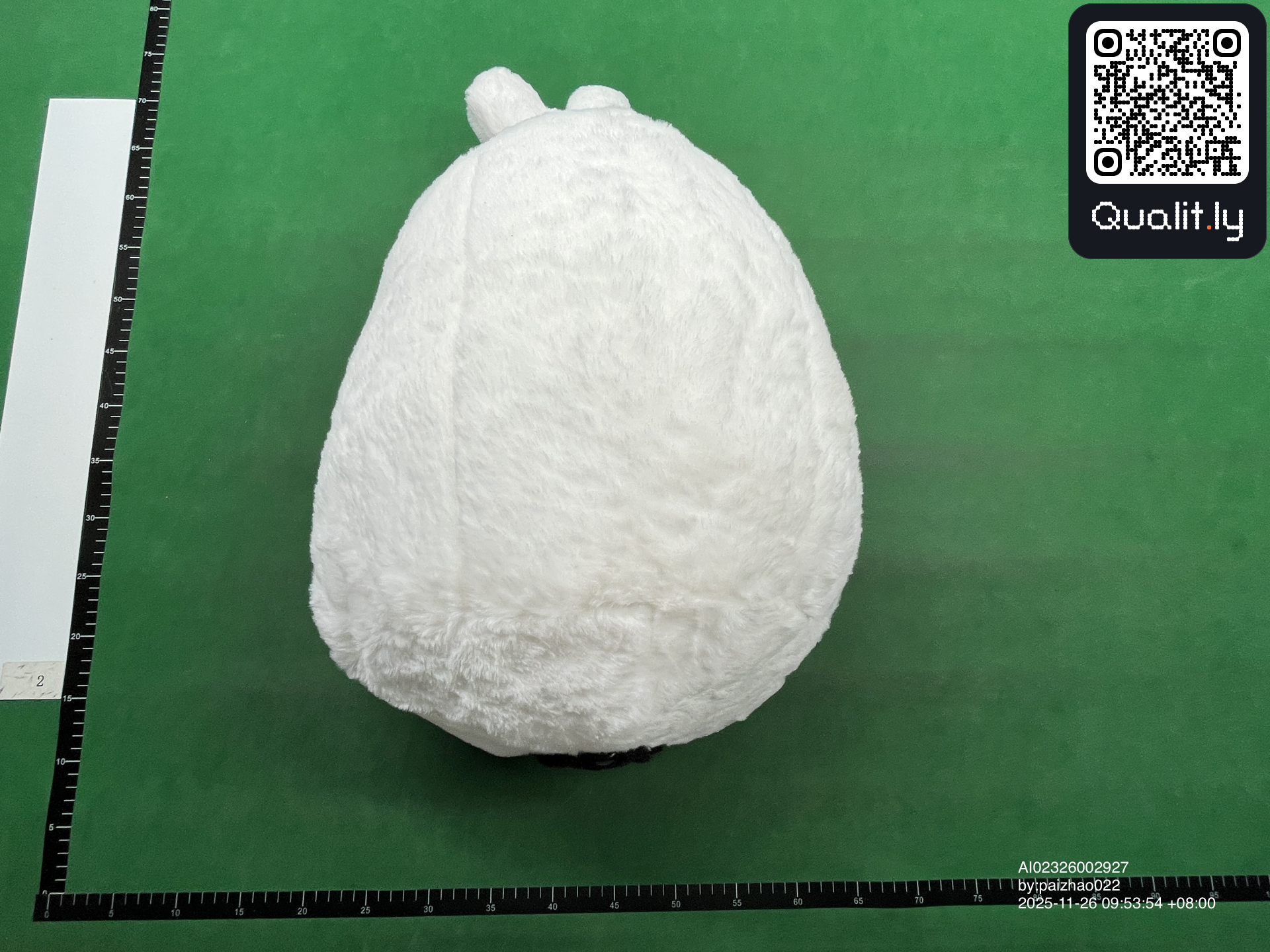 Foto QC 1 de 3
