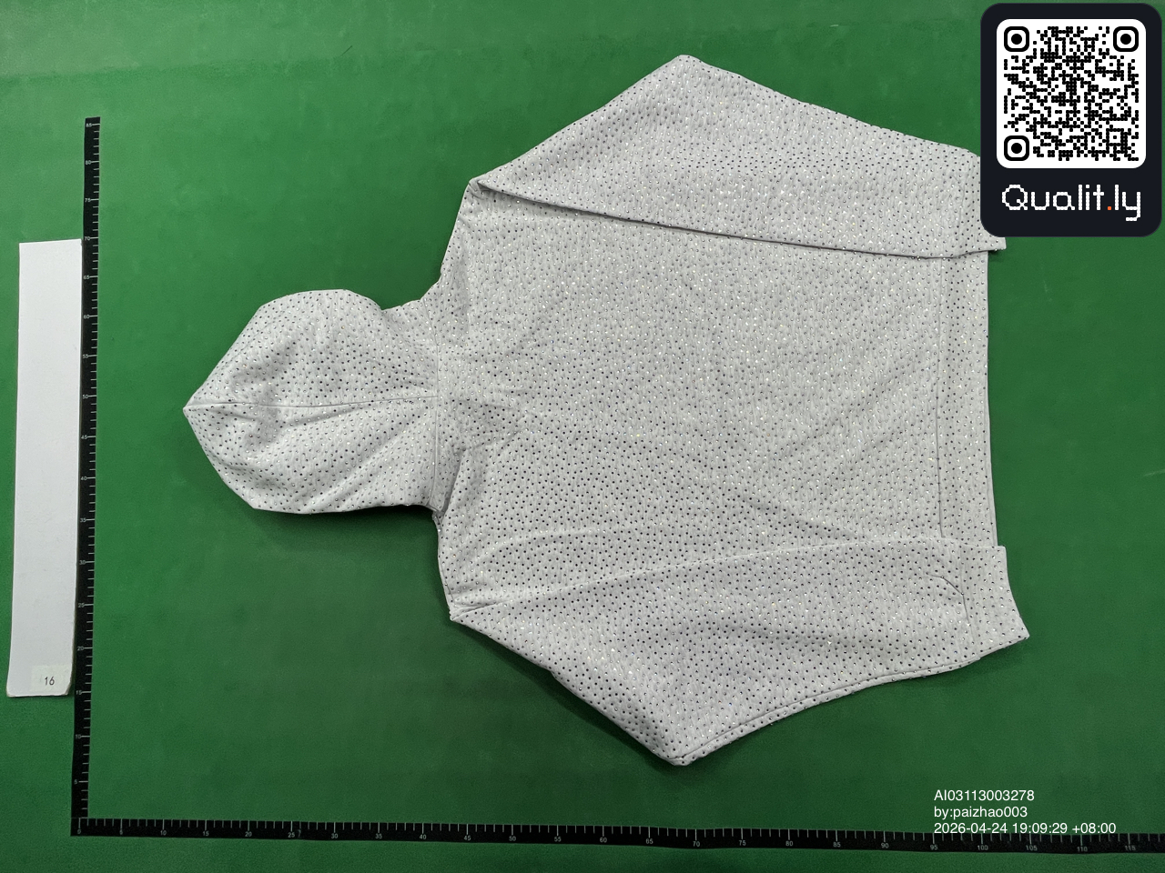 Hoodie QC photo 2 of 4