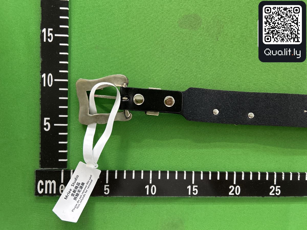 Belt QC photo 2 of 20