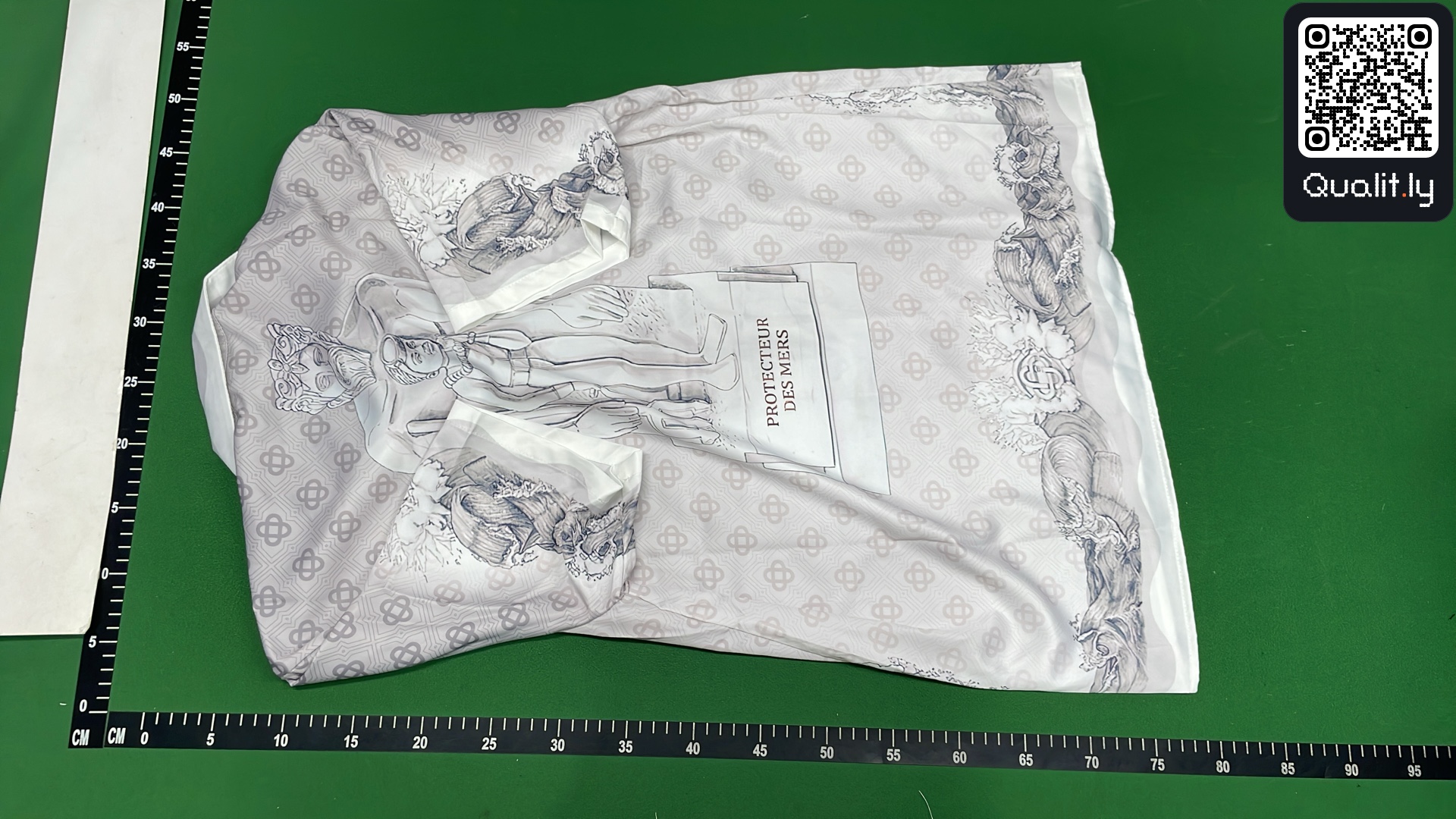 QC 照片 3 / 46