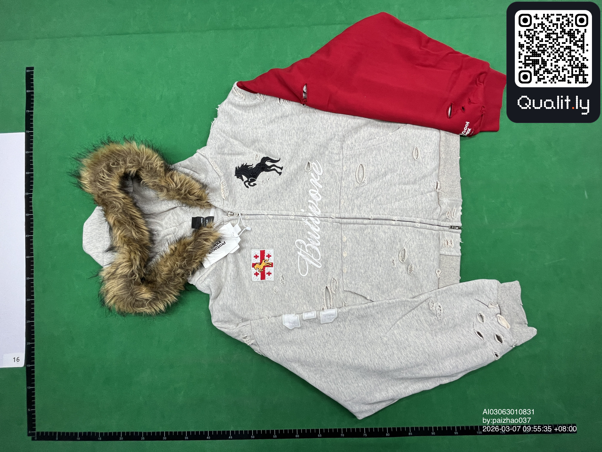 Hoodie QC photo 3 of 16