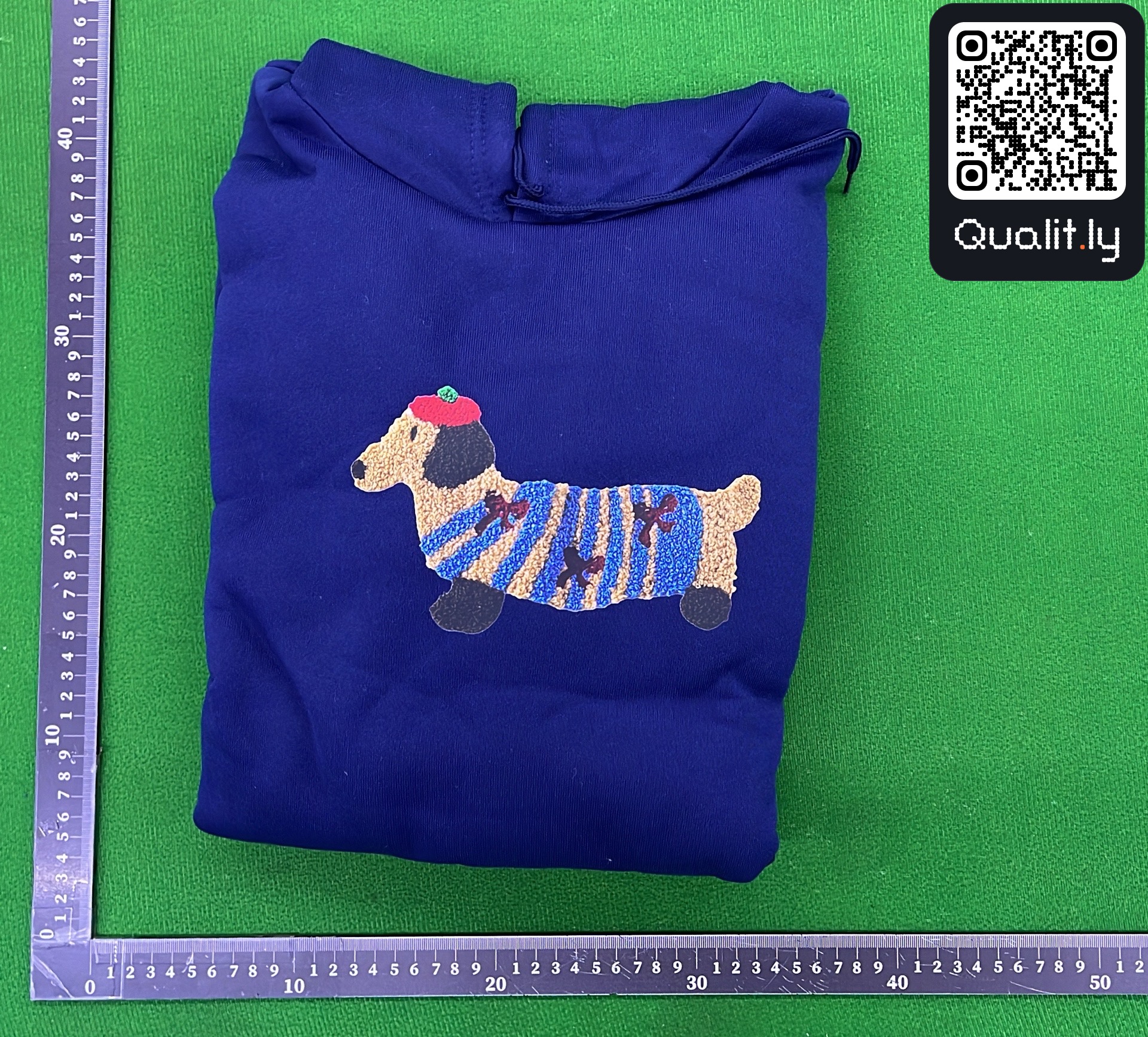 Hoodie QC photo 1 of 12