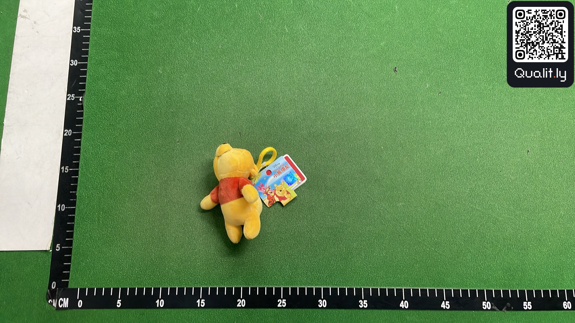 Bag QC photo 1 of 3
