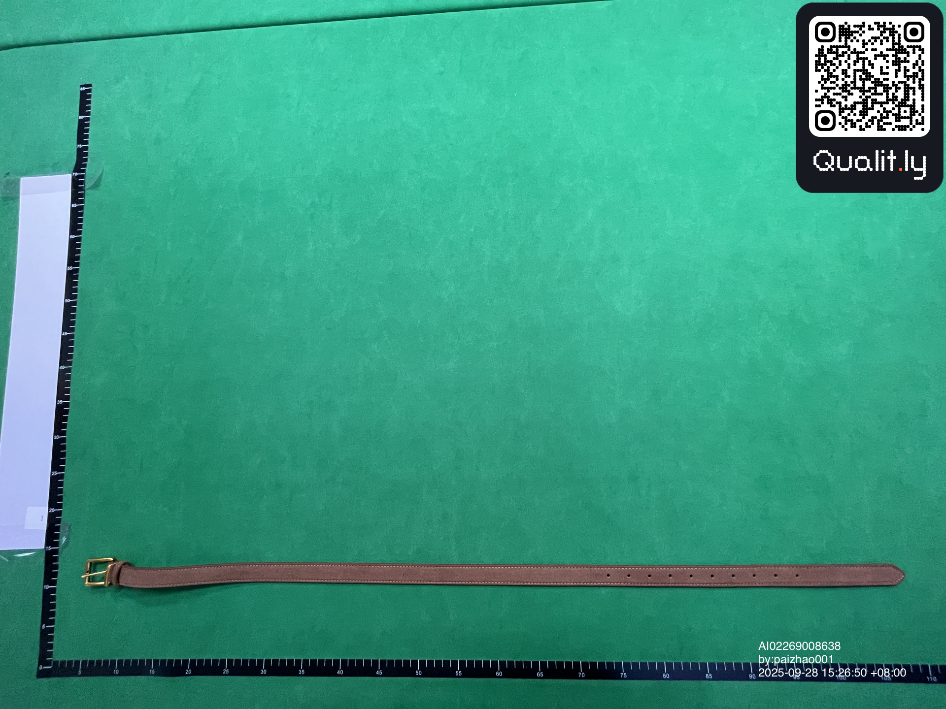 Belt QC photo 3 of 29