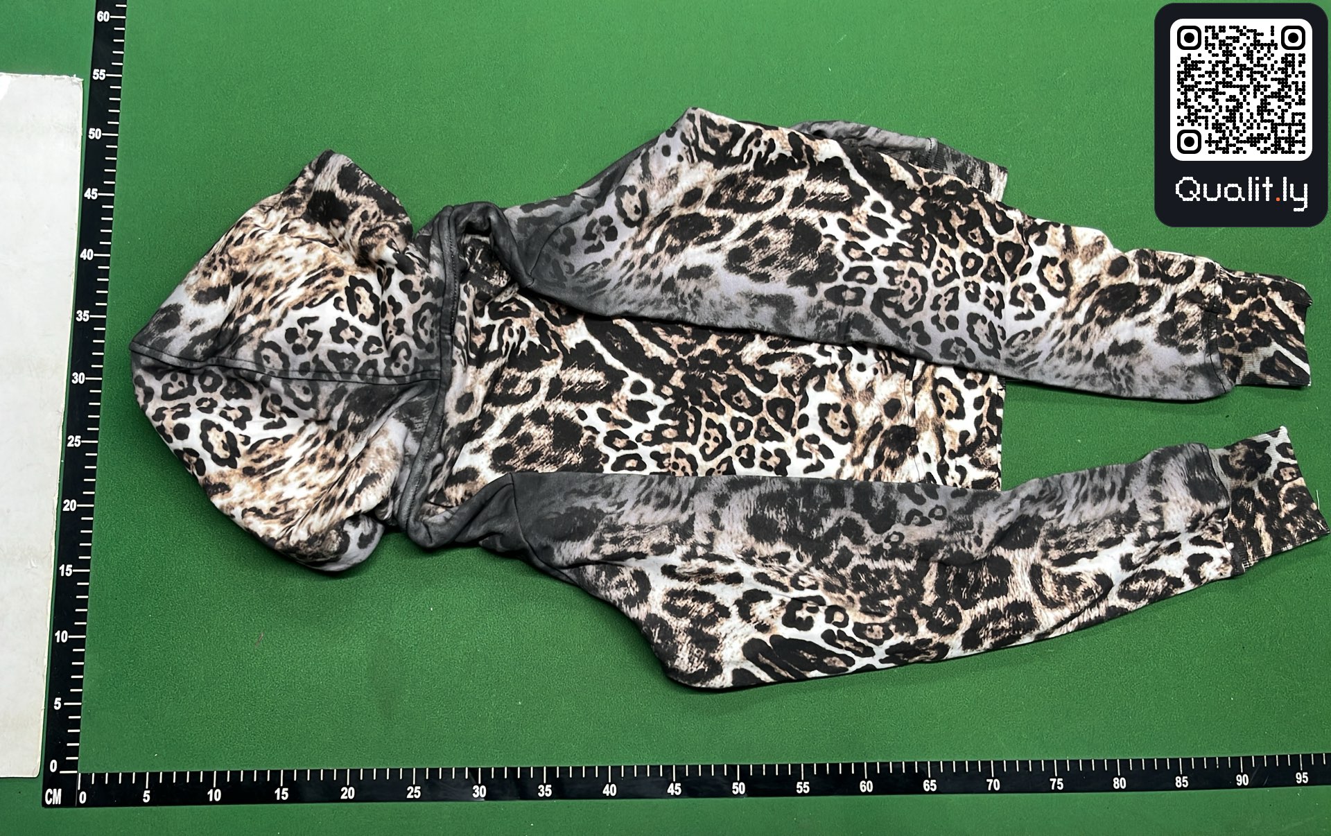 Hoodie QC photo 3 of 12