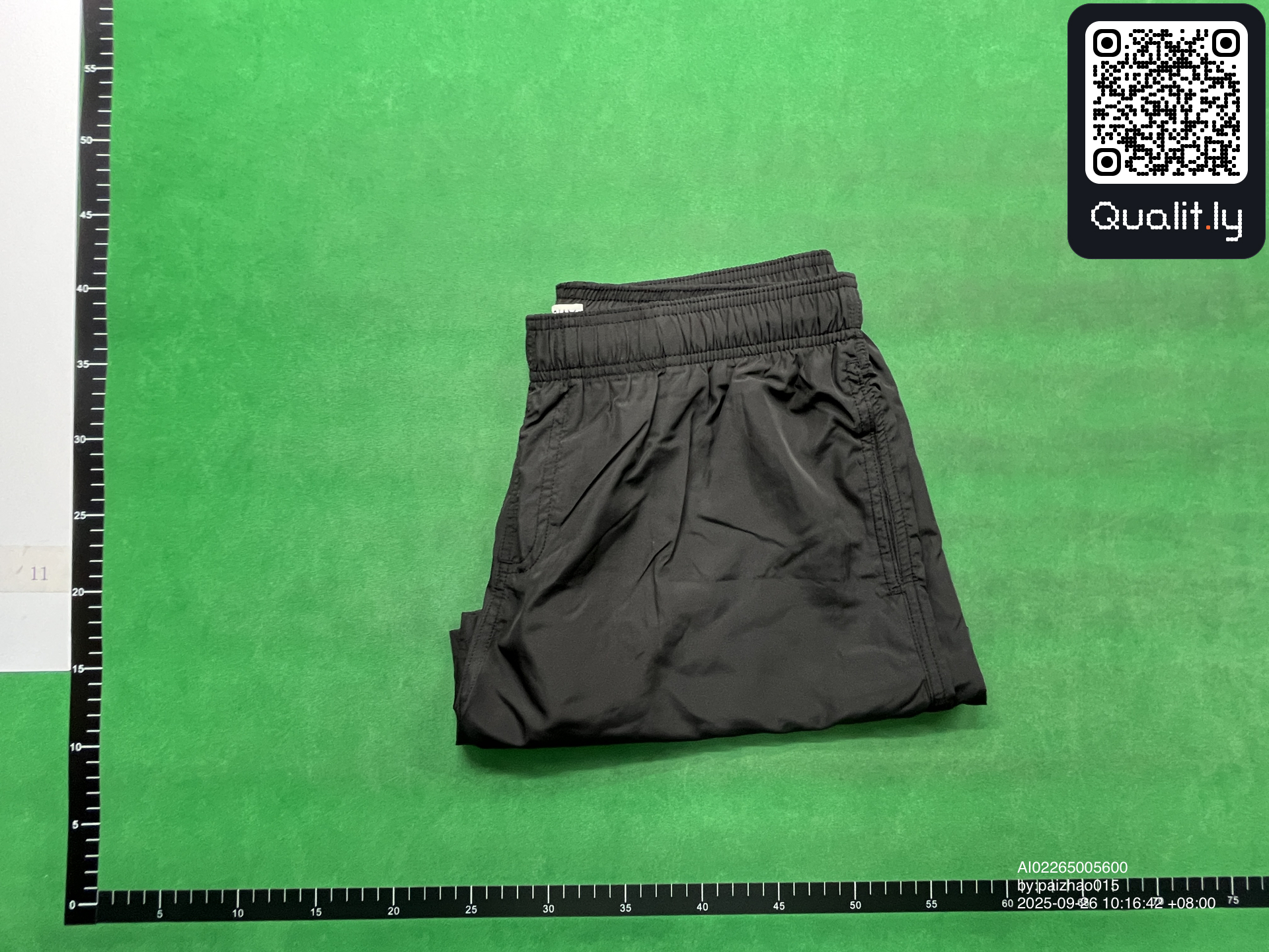 Shorts QC photo 1 of 24
