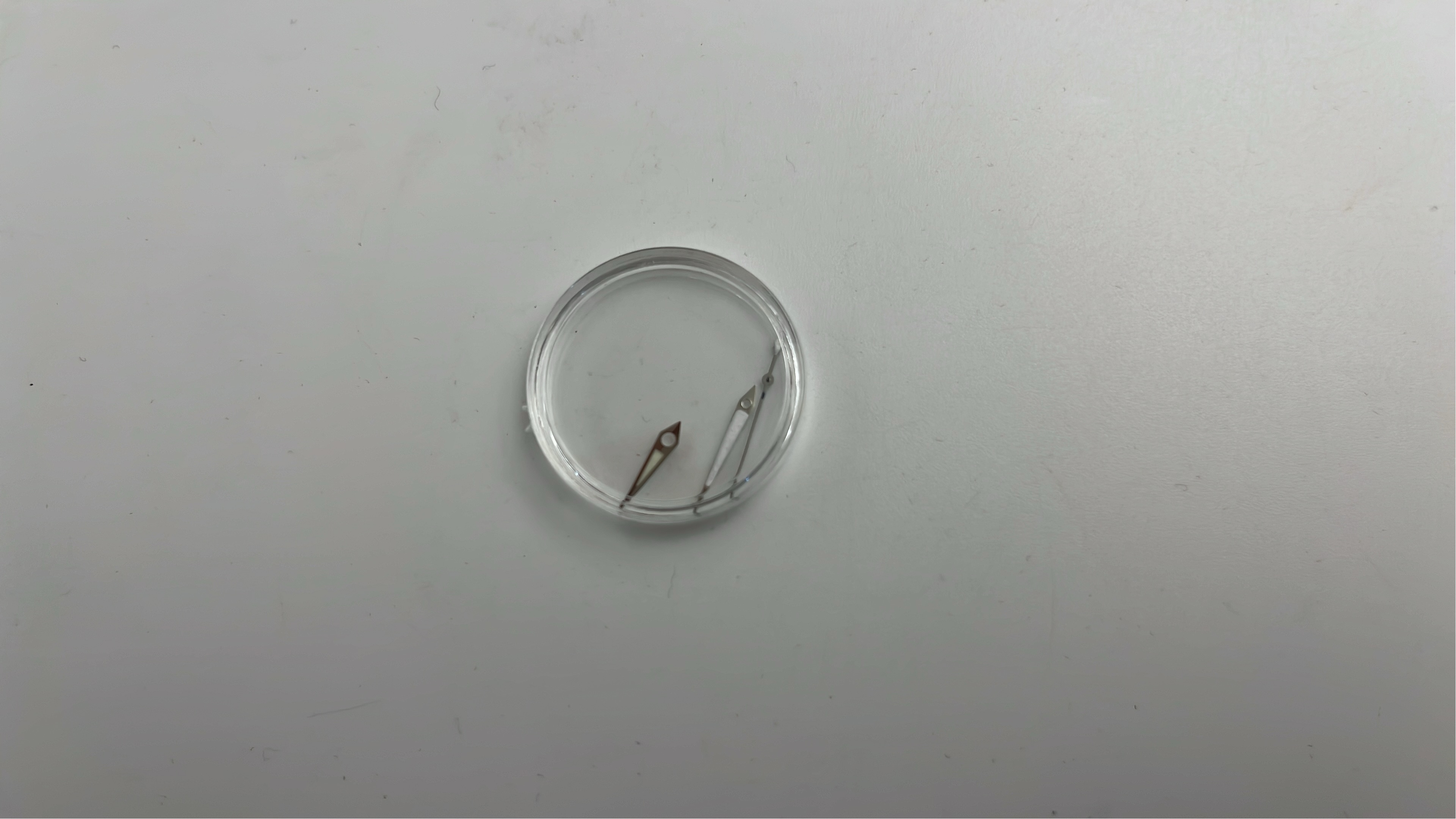 手表 QC 照片 3 / 6