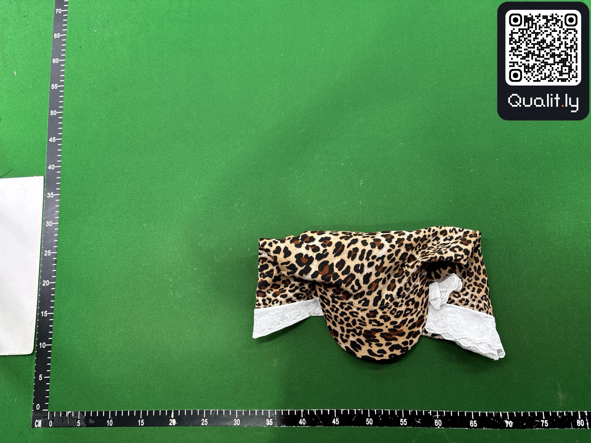 帽子 QC 照片 3 / 3