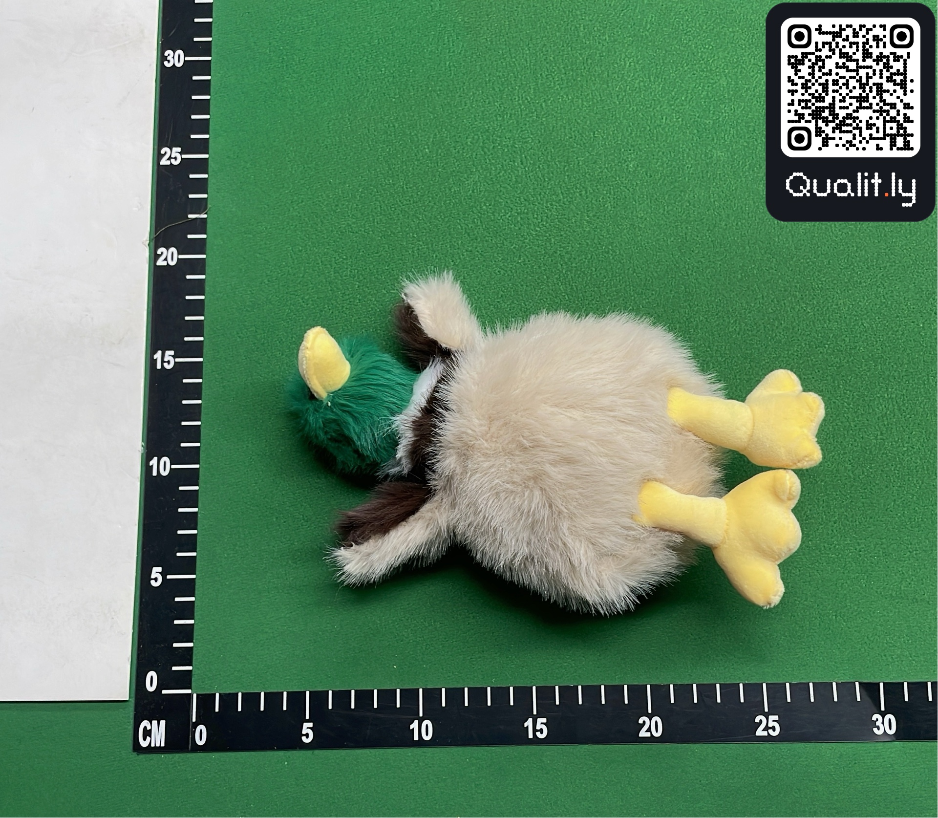 QC 照片 3 / 3