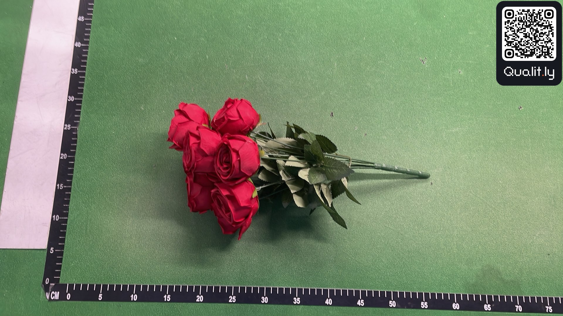 QC-foto 2 van 3