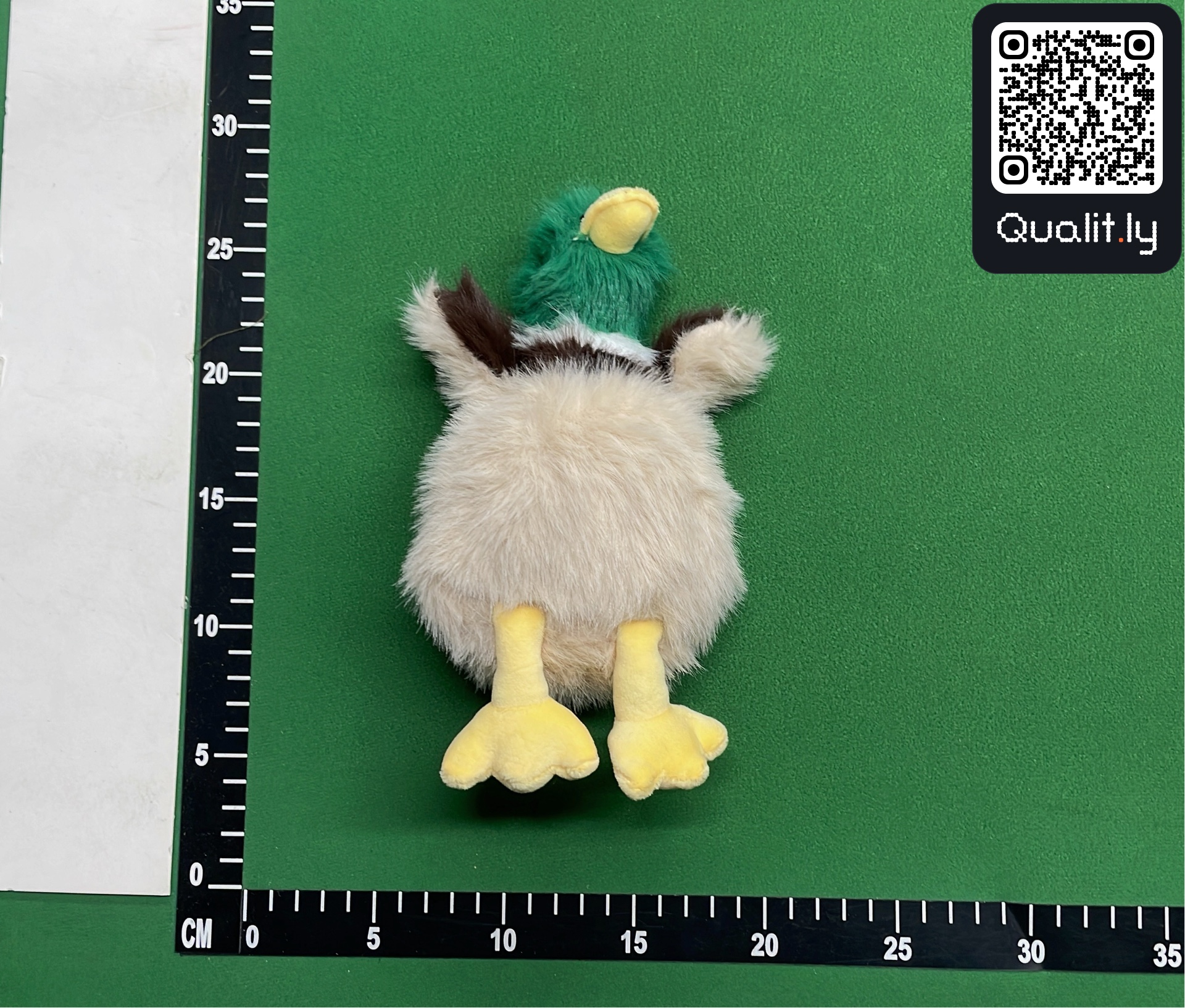 QC 照片 1 / 3