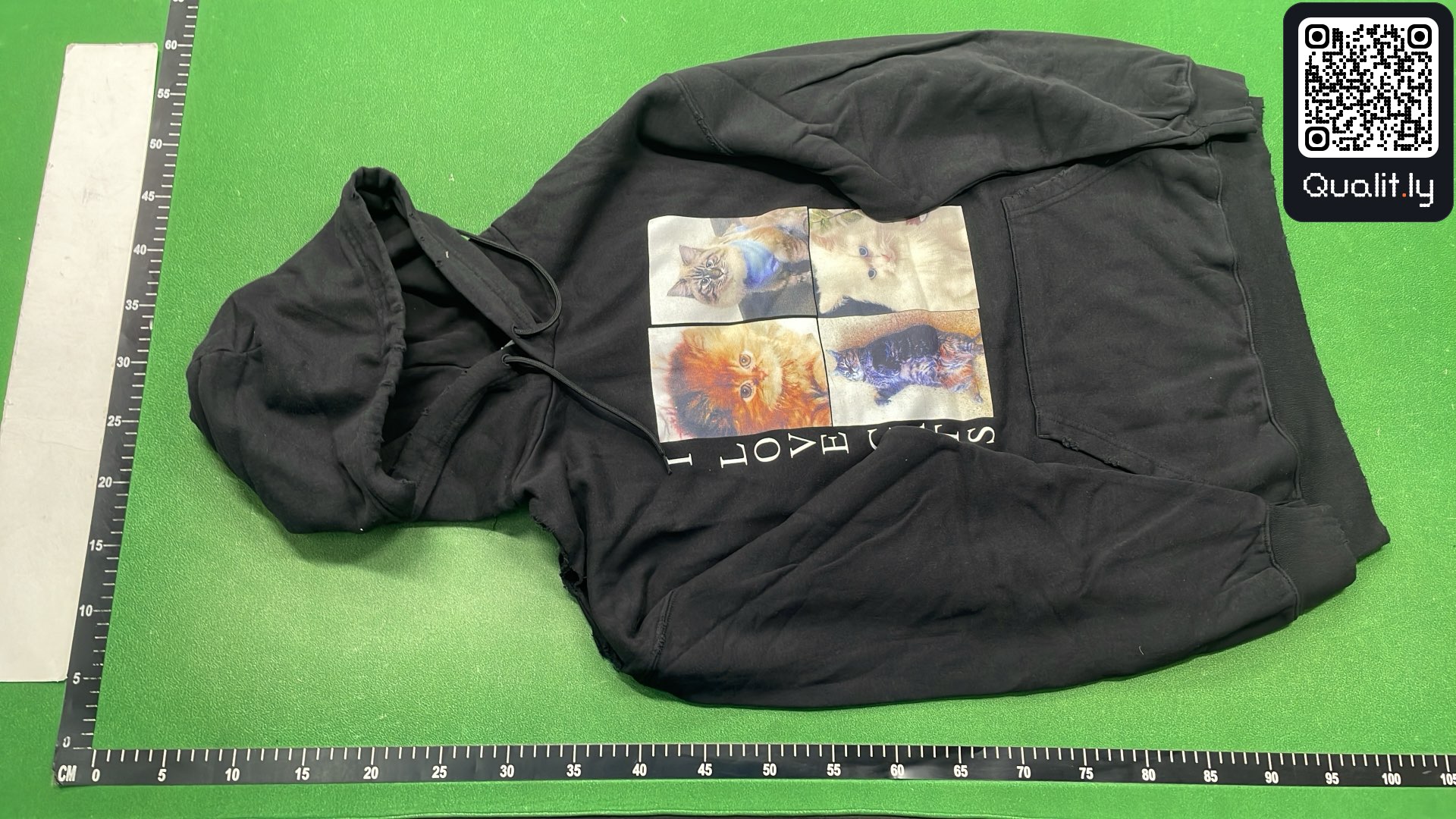 Hoodie — QC-foto 2 av 34