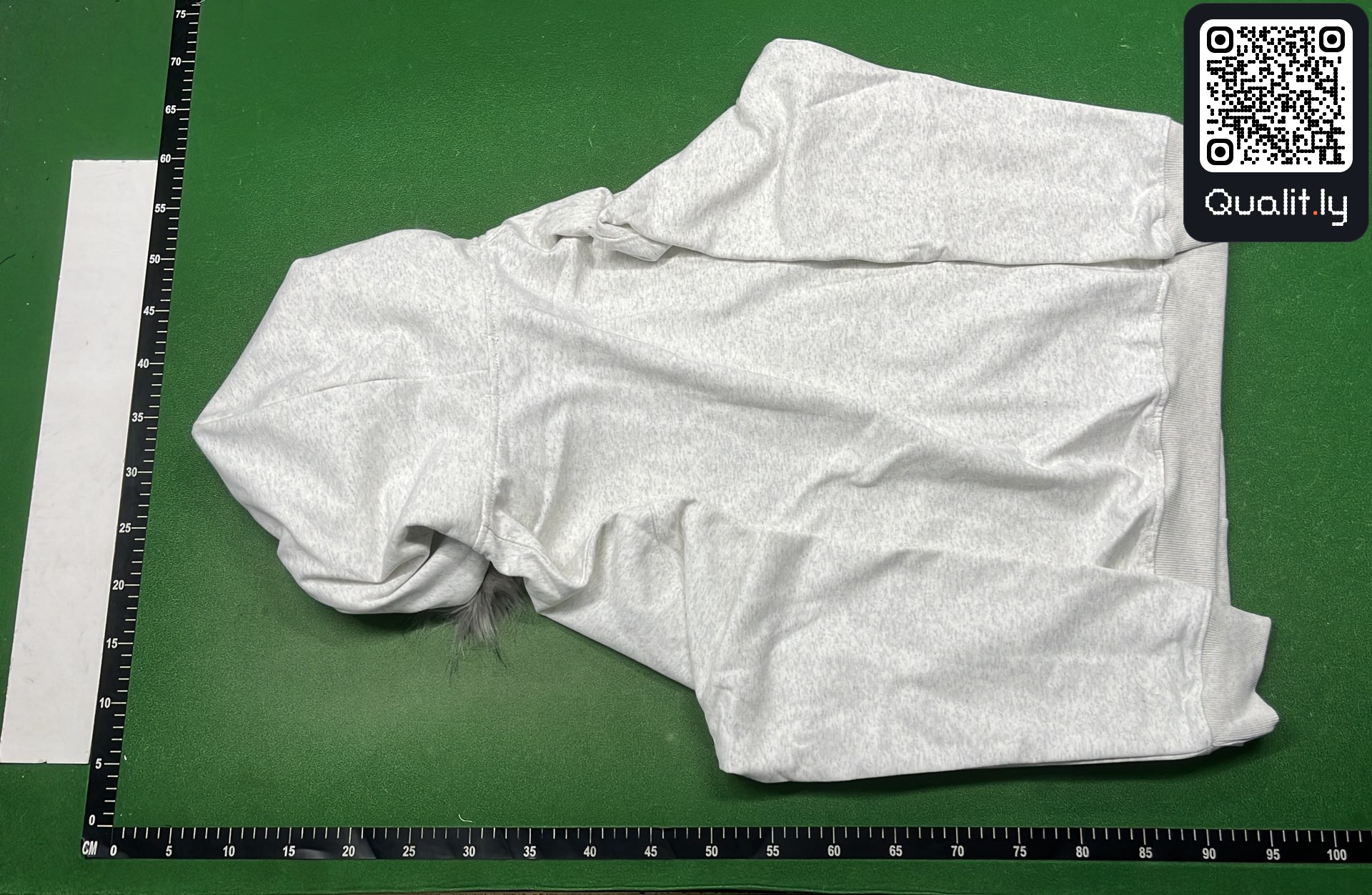 Sweat à capuche — photo QC 3 sur 70