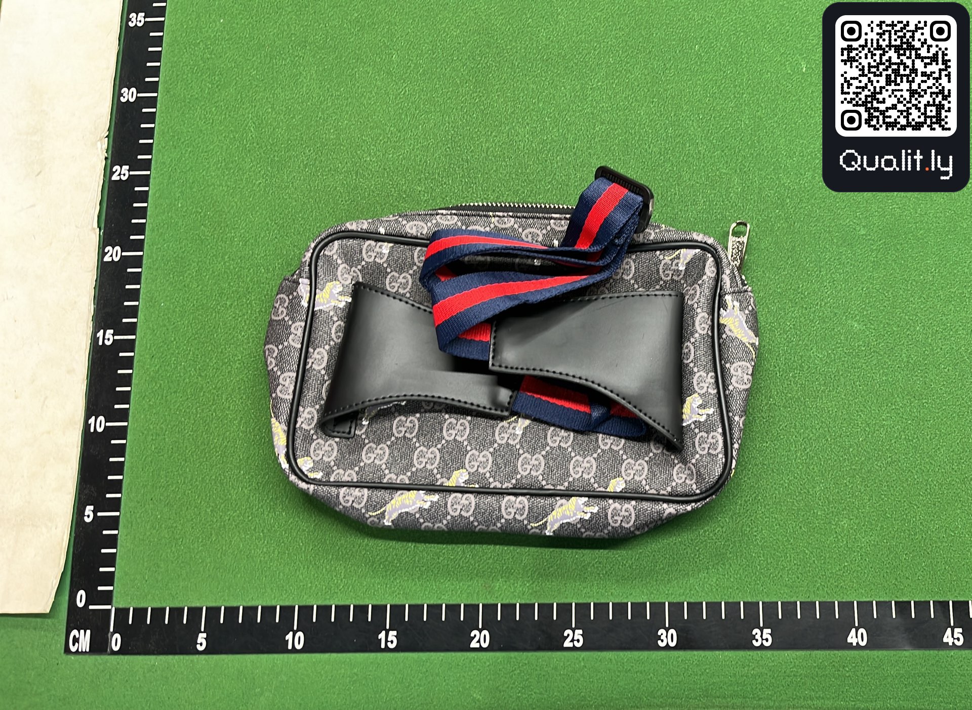 Bag QC photo 2 of 23