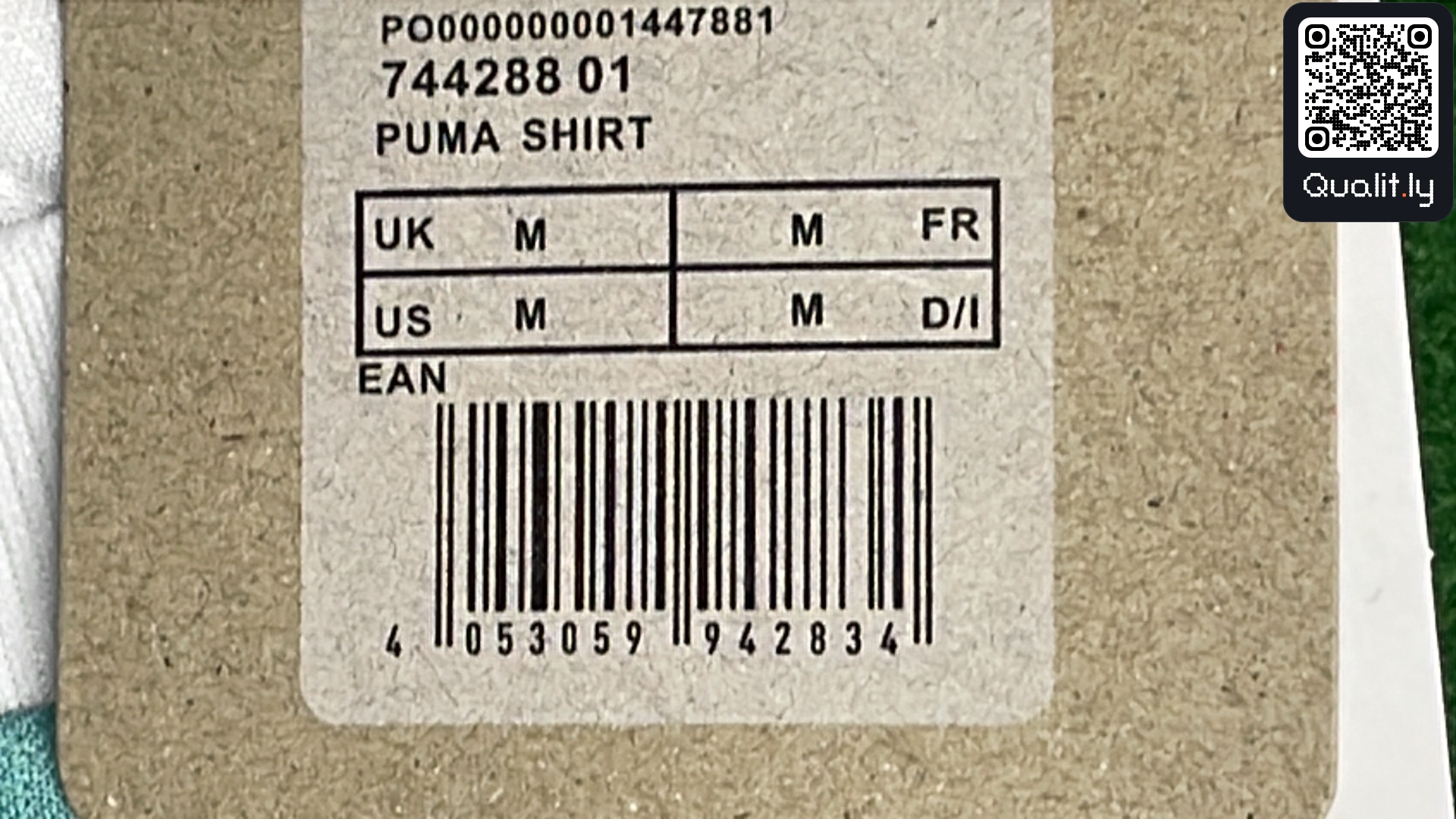 Shirt QC photo 1 of 16