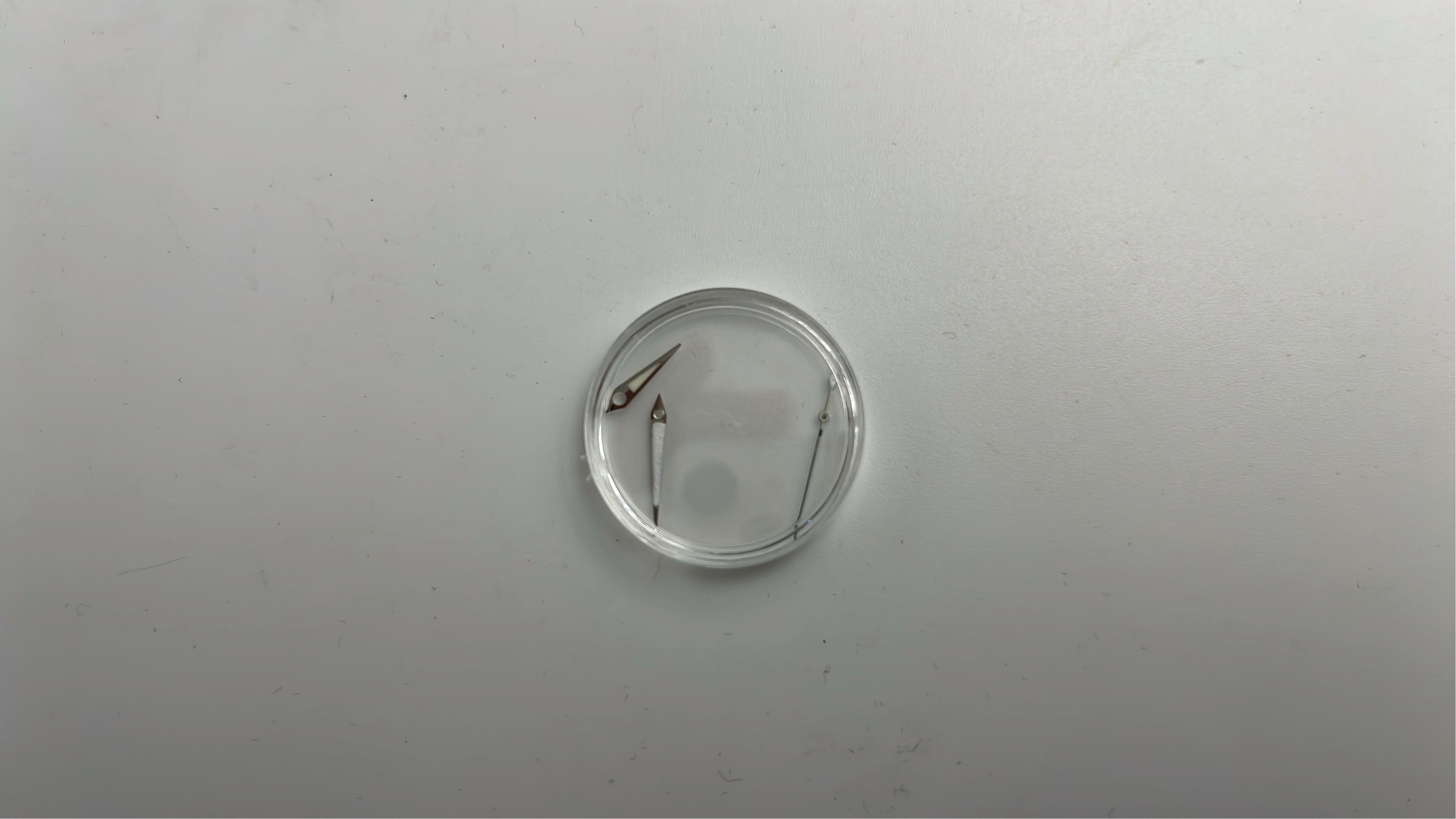 手表 QC 照片 1 / 6