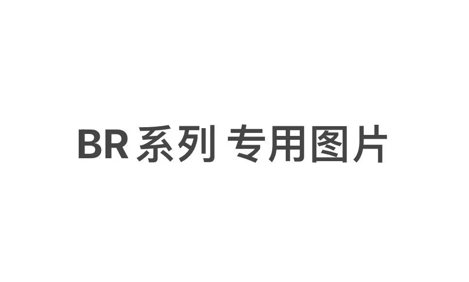 B62 格纹大Logo 短袖