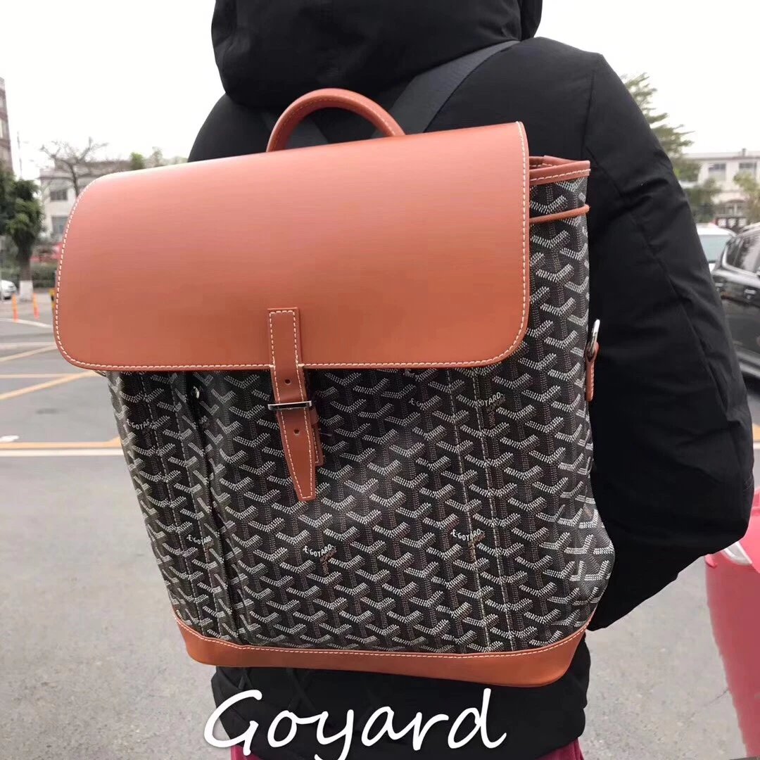 Goyard backpack